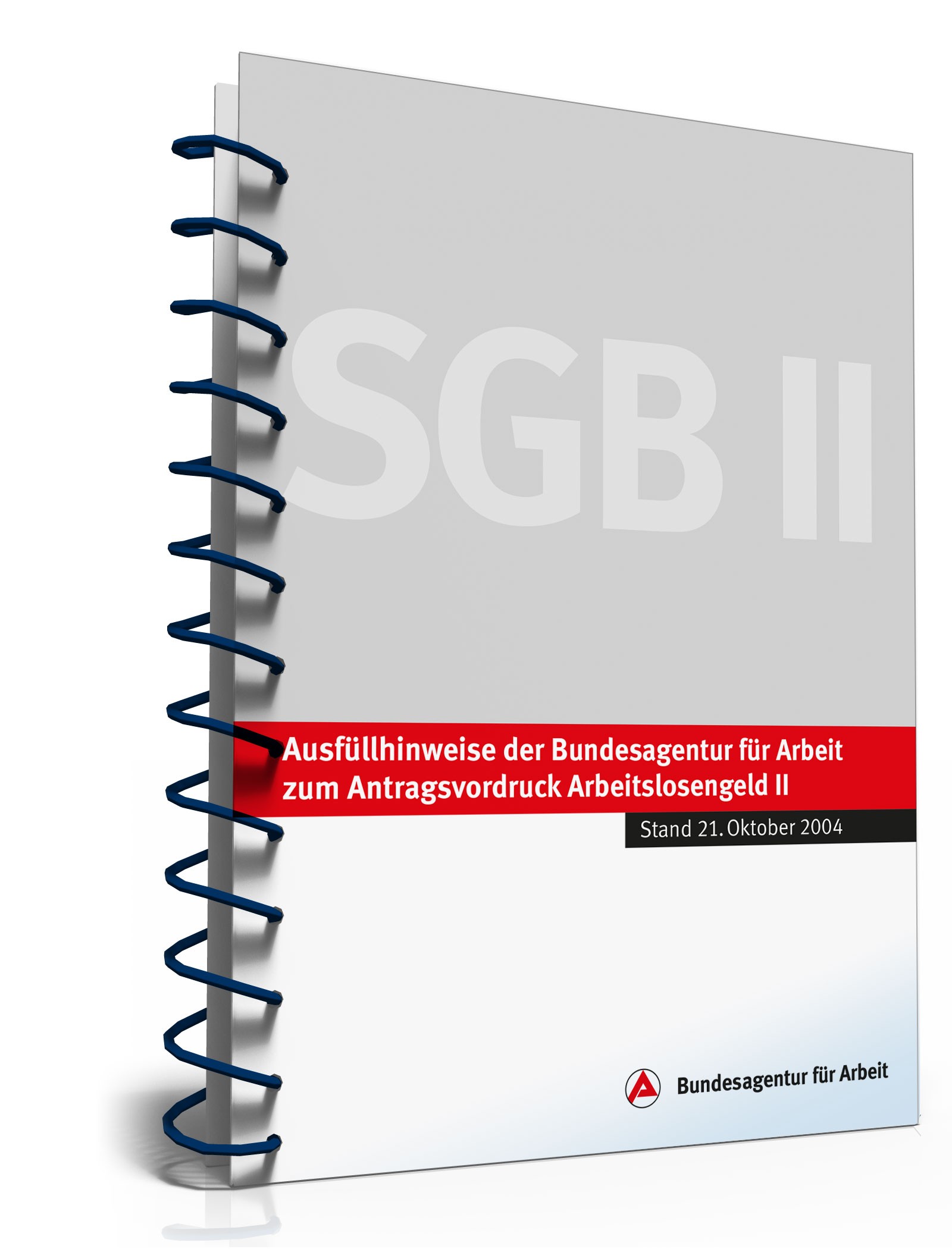 Ausfüllhinweise Antrag Bürgergeld PDF