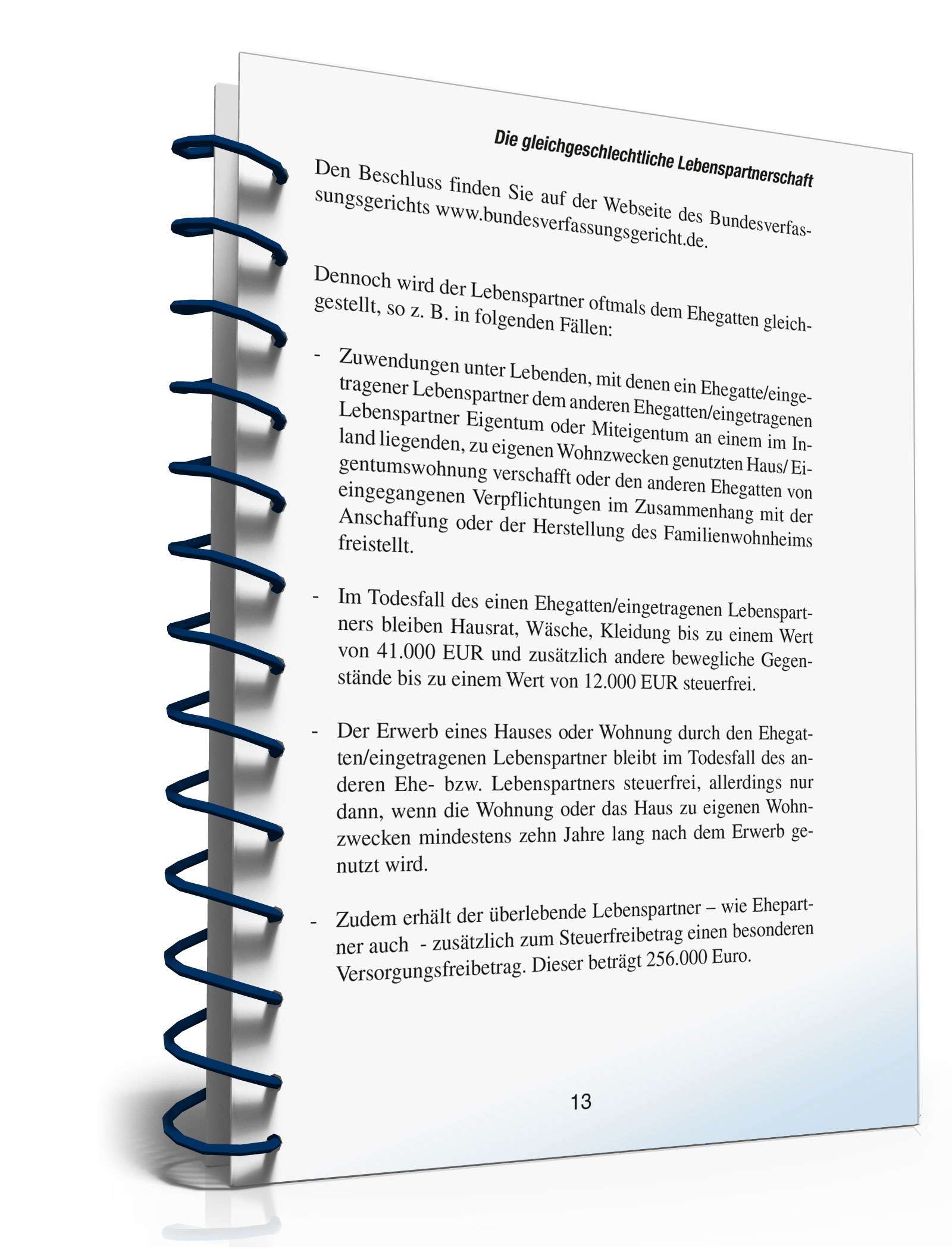 Ratgeber gleichgeschlechtliche Lebenspartnerschaft PDF. Seite: 13