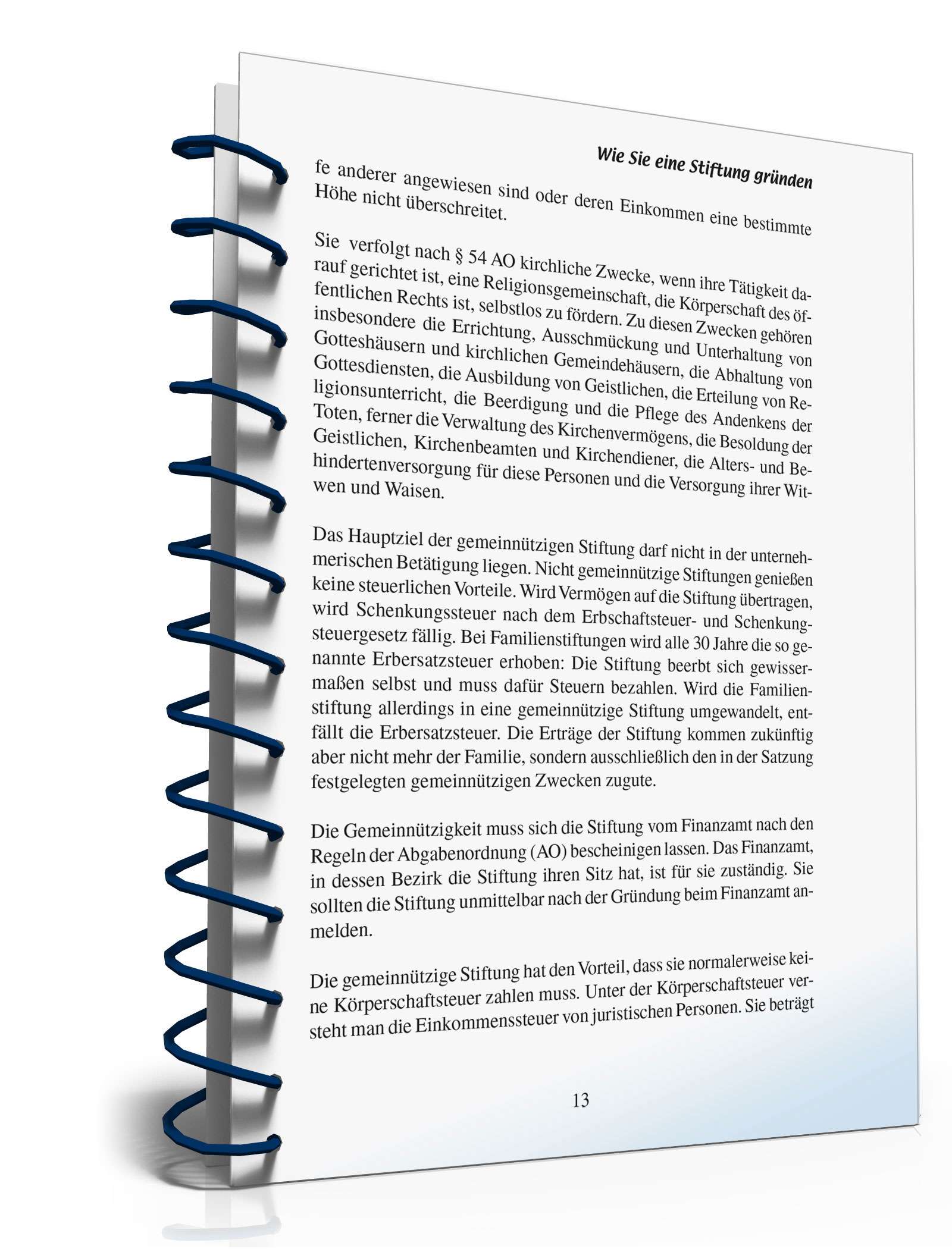 Ratgeber Gründung Stiftung  PDF. Seite: 12