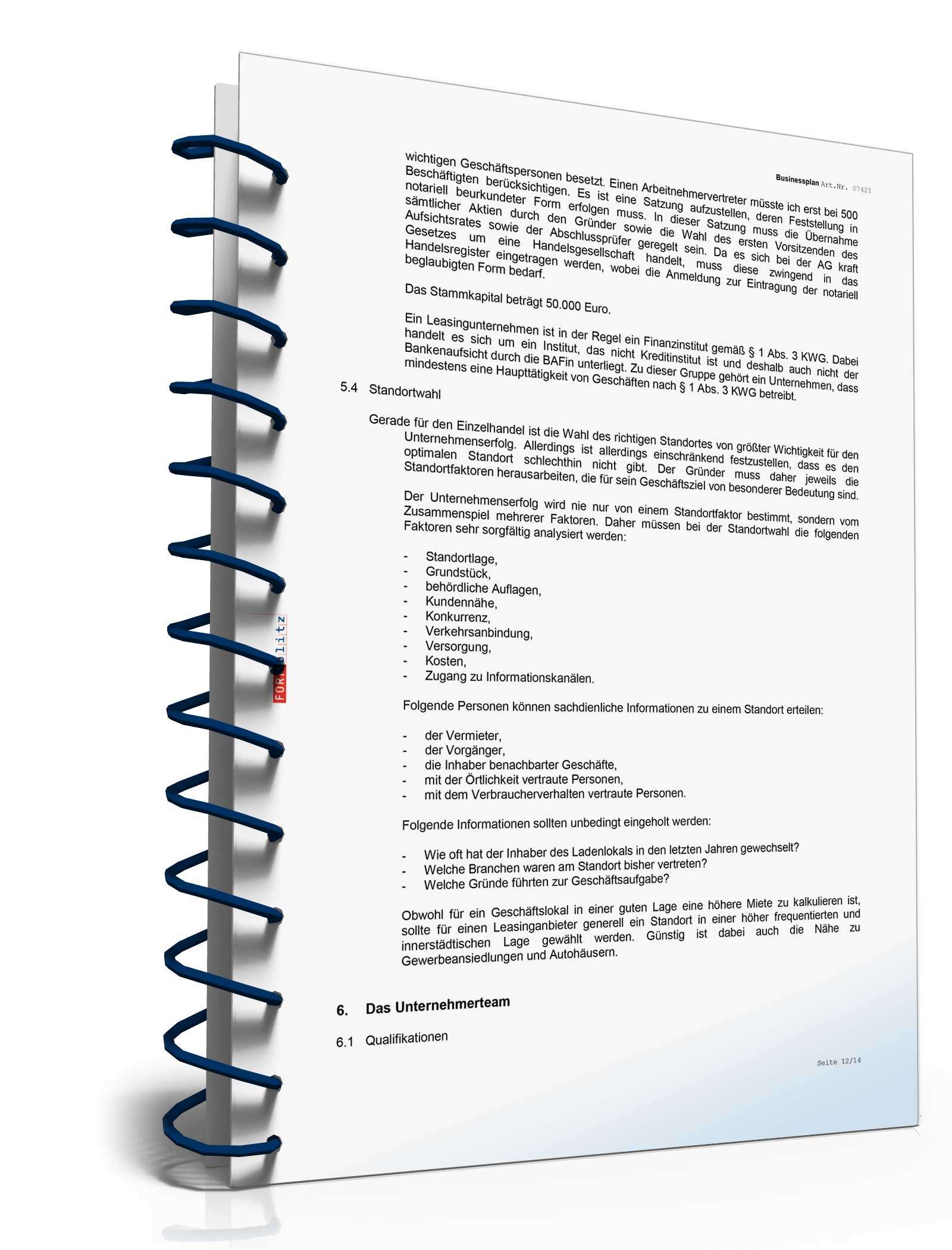 Businessplan für ein Leasingunternehmen Excel. Seite: 15