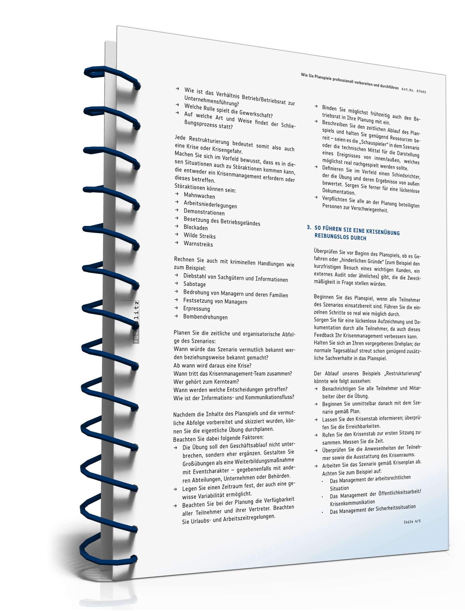 Ratgeber Planspiel PDF. Seite: 5