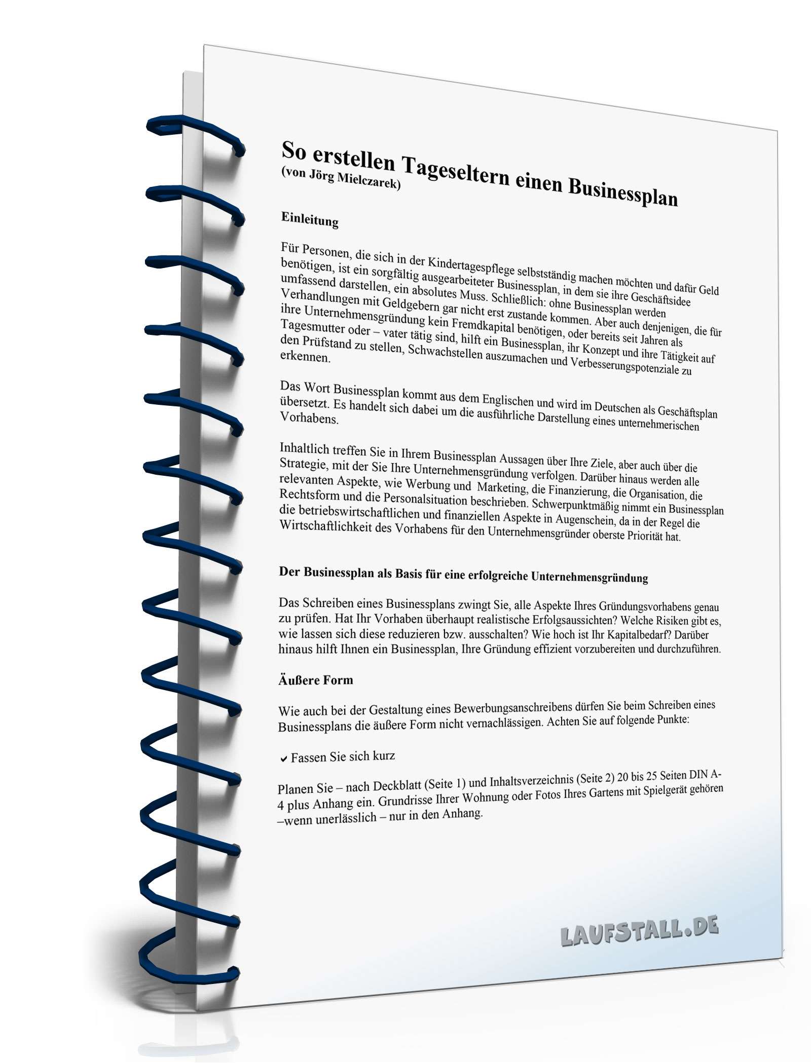 Ratgeber Businessplan Tageseltern PDF. Seite: 2