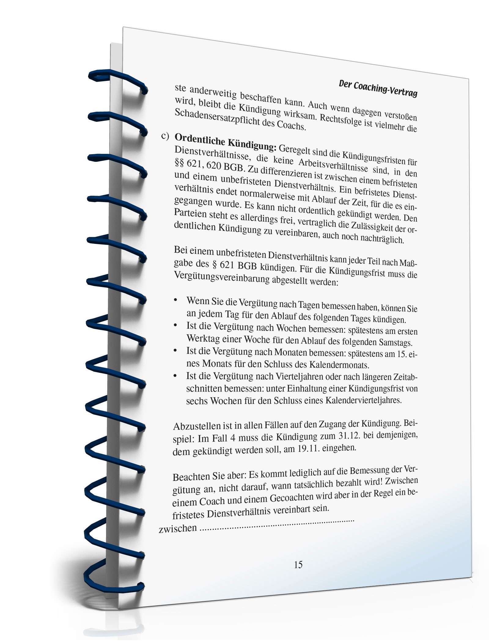 Coaching-Vertrag Ratgeber PDF. Seite: 15
