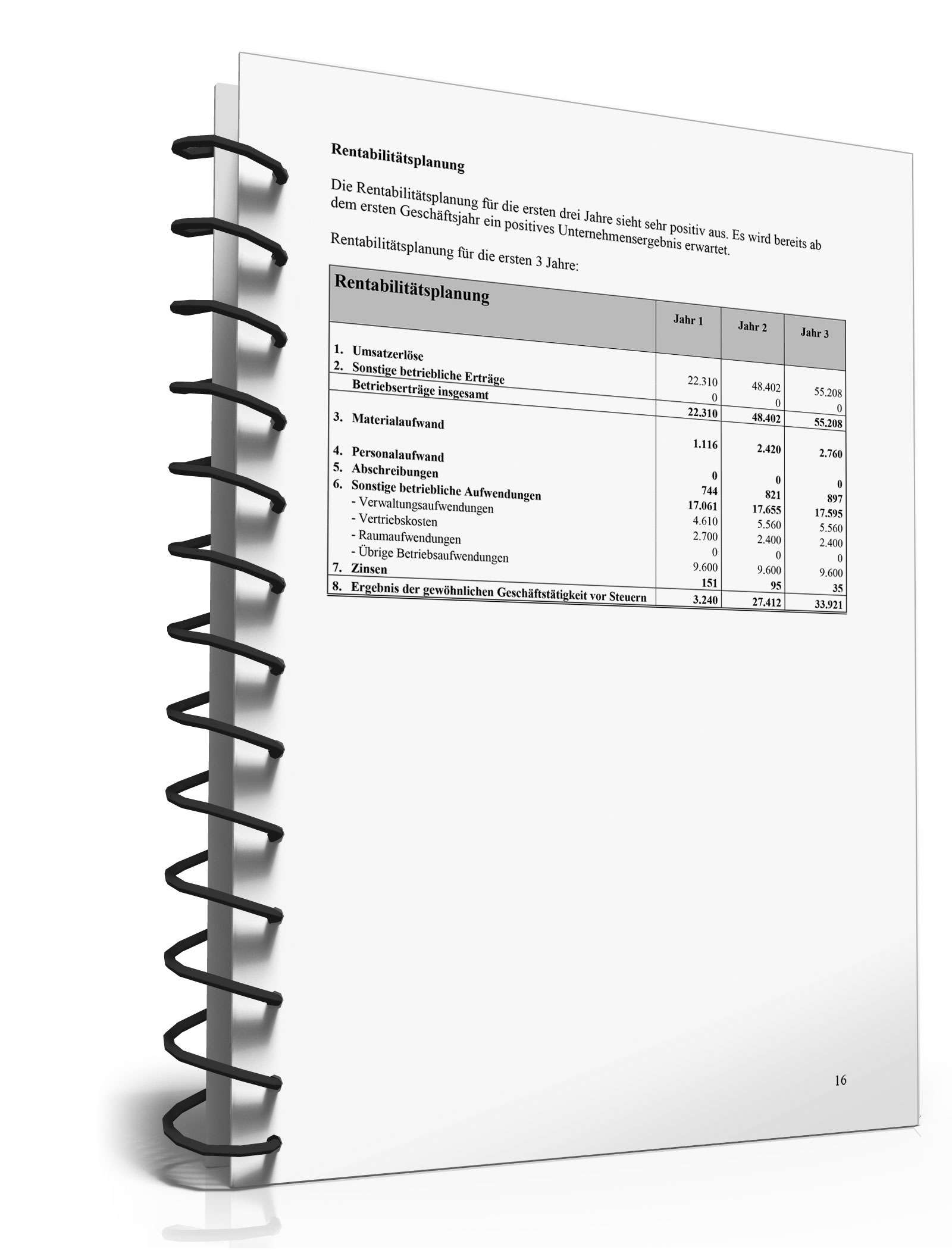 Businessplan Fensterputzer von Gründerplan Excel. Seite: 5