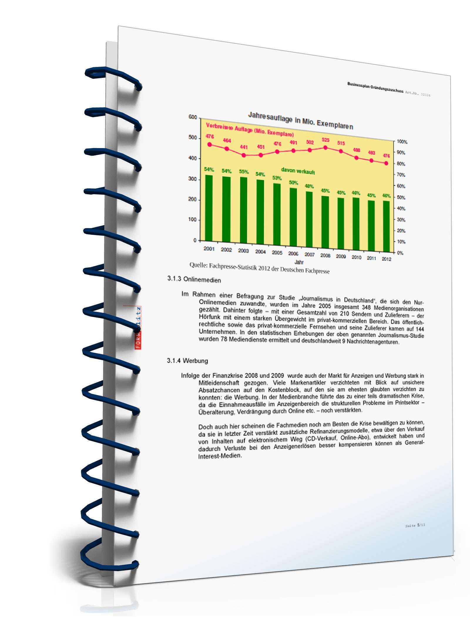 Businessplan für Freiberufler Excel. Seite: 7