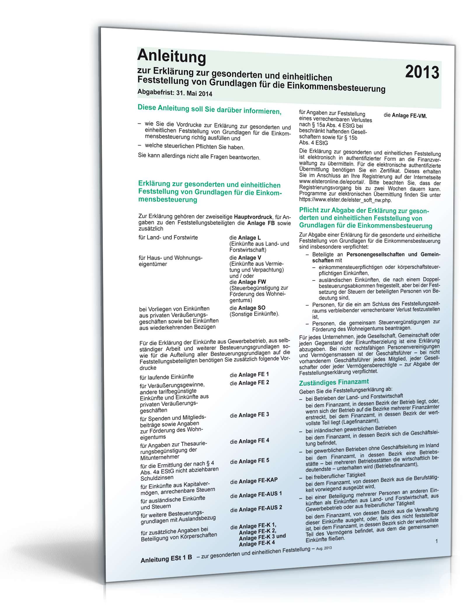 Anleitung ESt 1b 2013 PDF