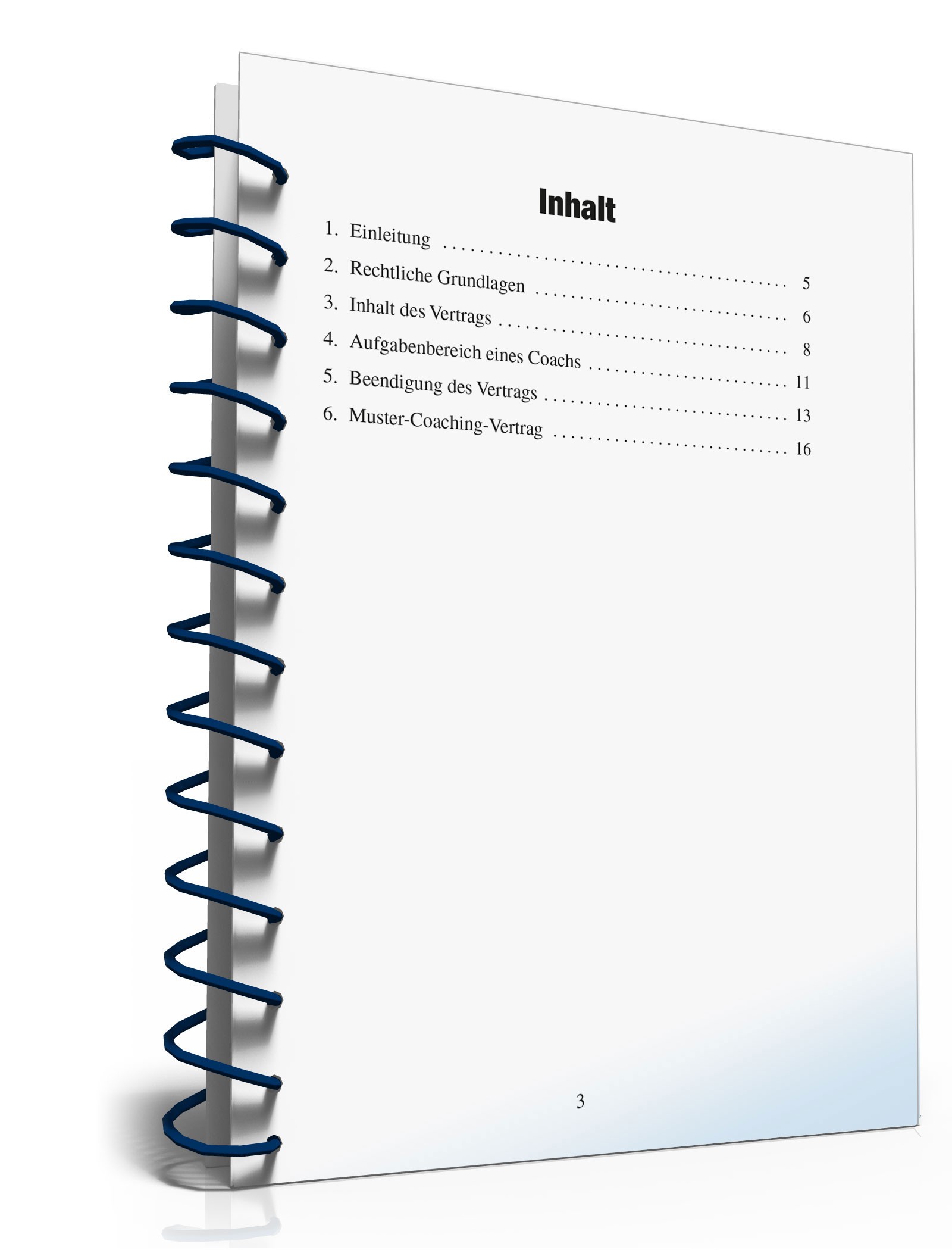 Coaching-Vertrag Ratgeber PDF. Seite: 3
