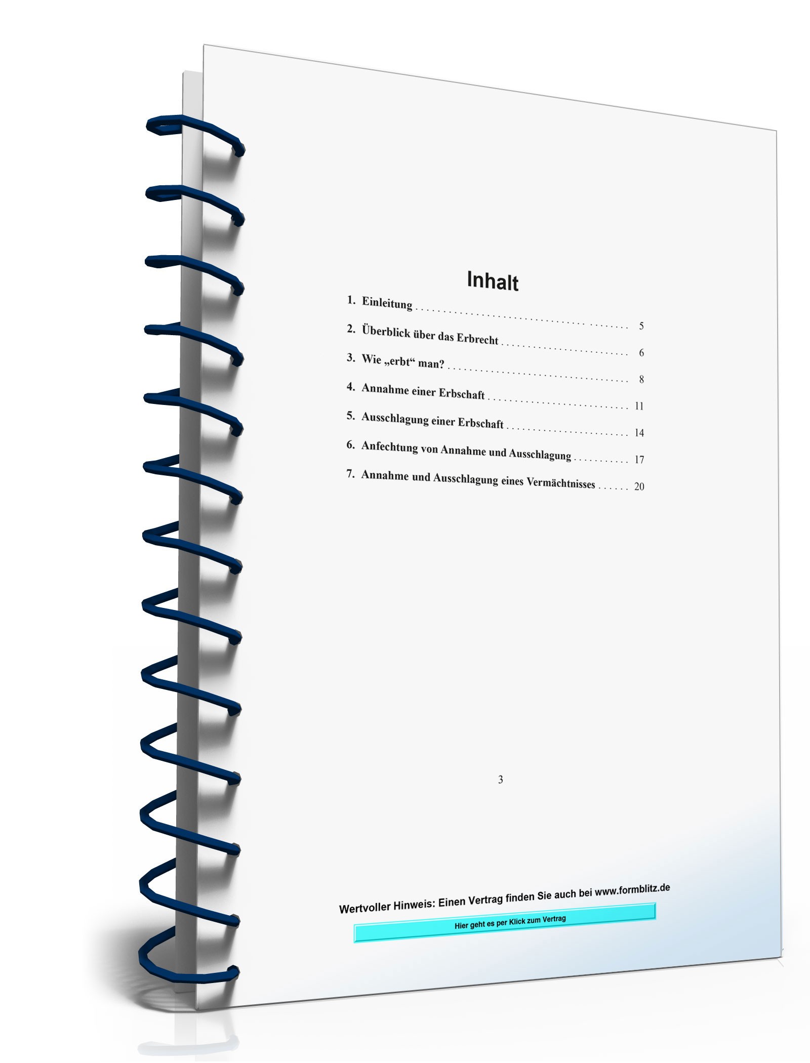 Ratgeber Annehmen/Ausschlagen Erbe  PDF. Seite: 3