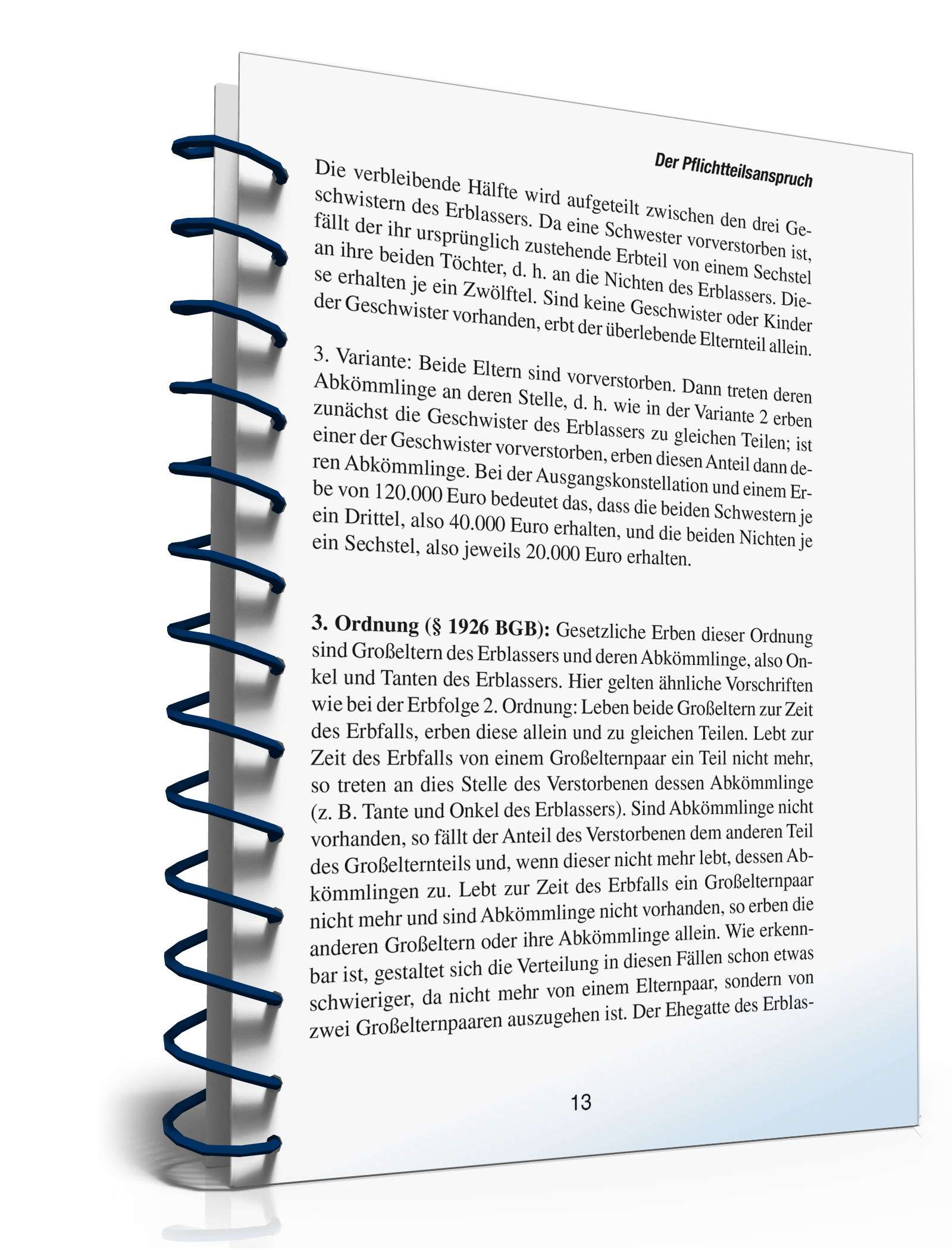 Ratgeber Pflichtteilsanspruch  PDF. Seite: 13