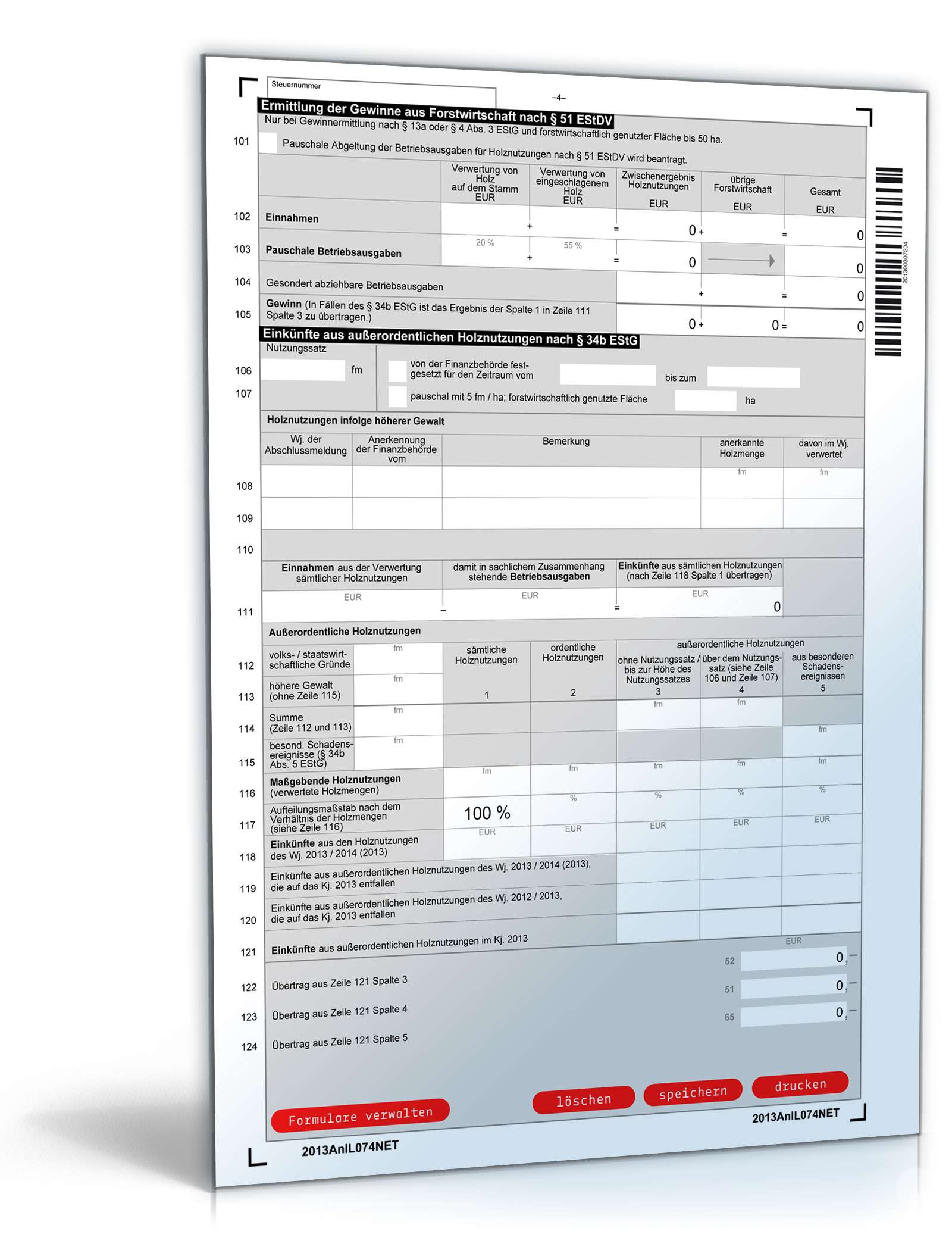 Anlage L 2013 PDF. Seite: 4