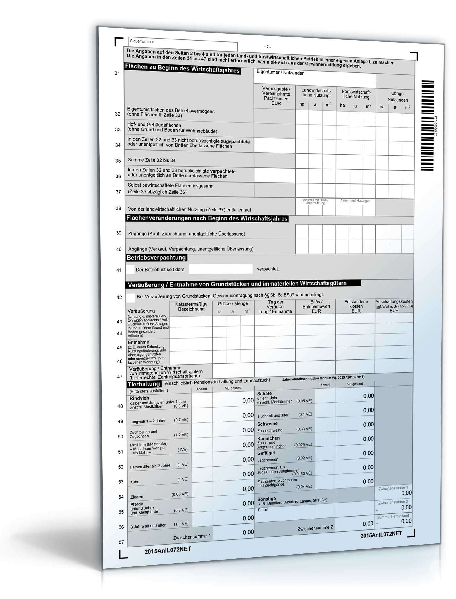 Anlage L 2015 PDF. Seite: 2