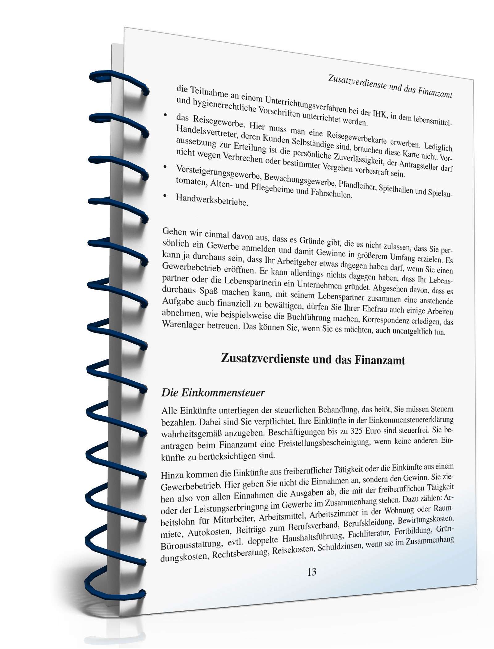 Zusatzverdienst-Ideen PDF. Seite: 14