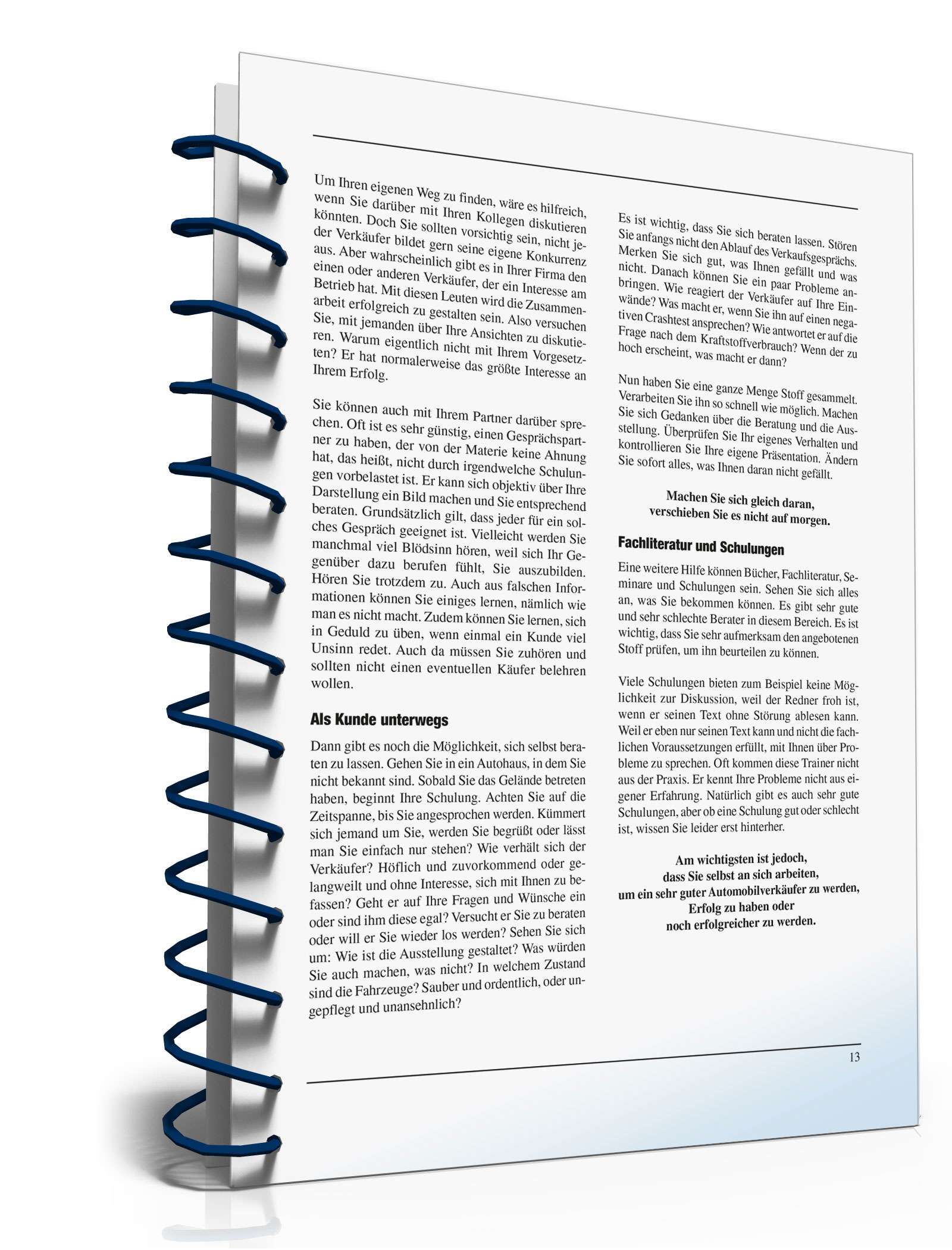 Automobile erfolgreich verkaufen PDF. Seite: 12