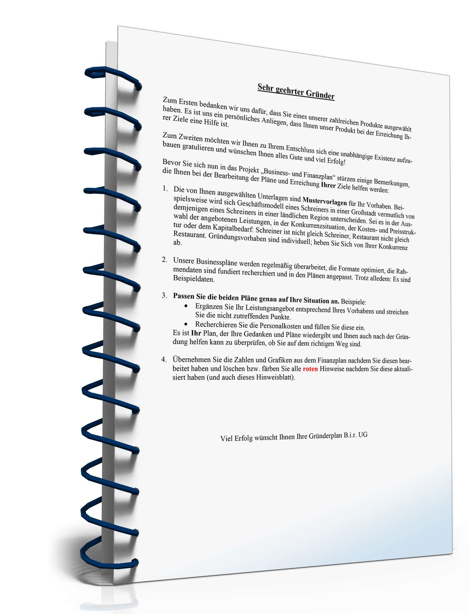 Businessplan Fensterputzer von Gründerplan Excel. Seite: 2