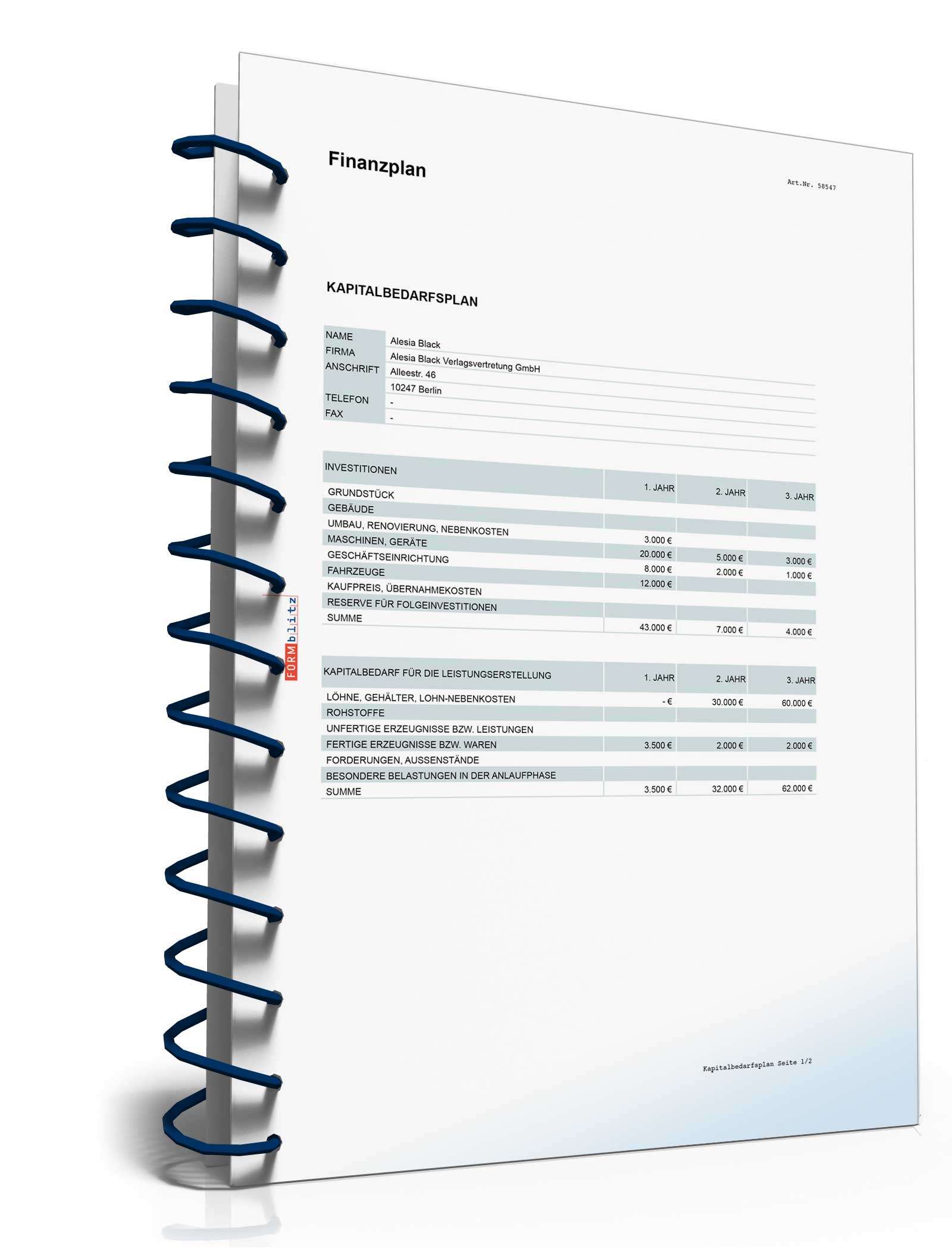 Businessplan Verlagsvertretung Excel. Seite: 7