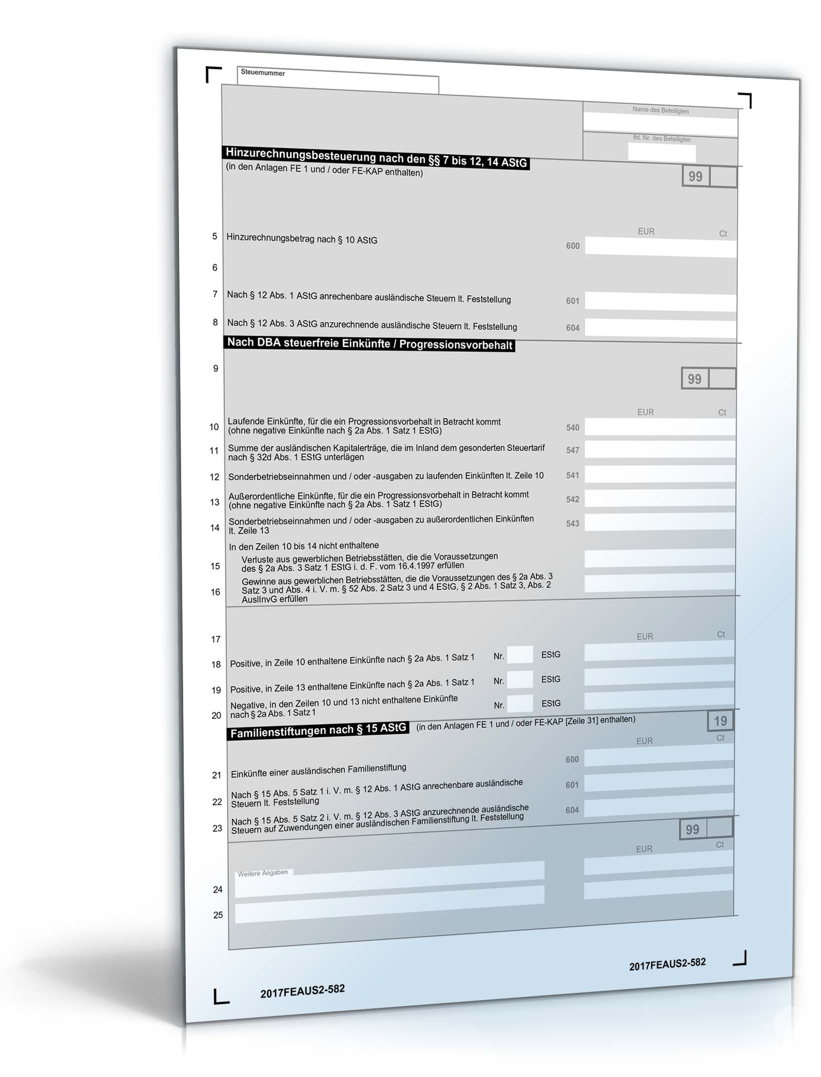 Anlage FE-AUS 2 2017 PDF. Seite: 2