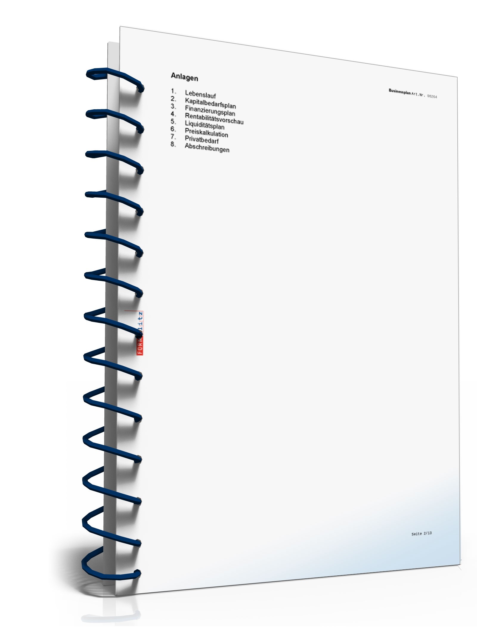 Businessplan IT-Berater Excel. Seite: 5