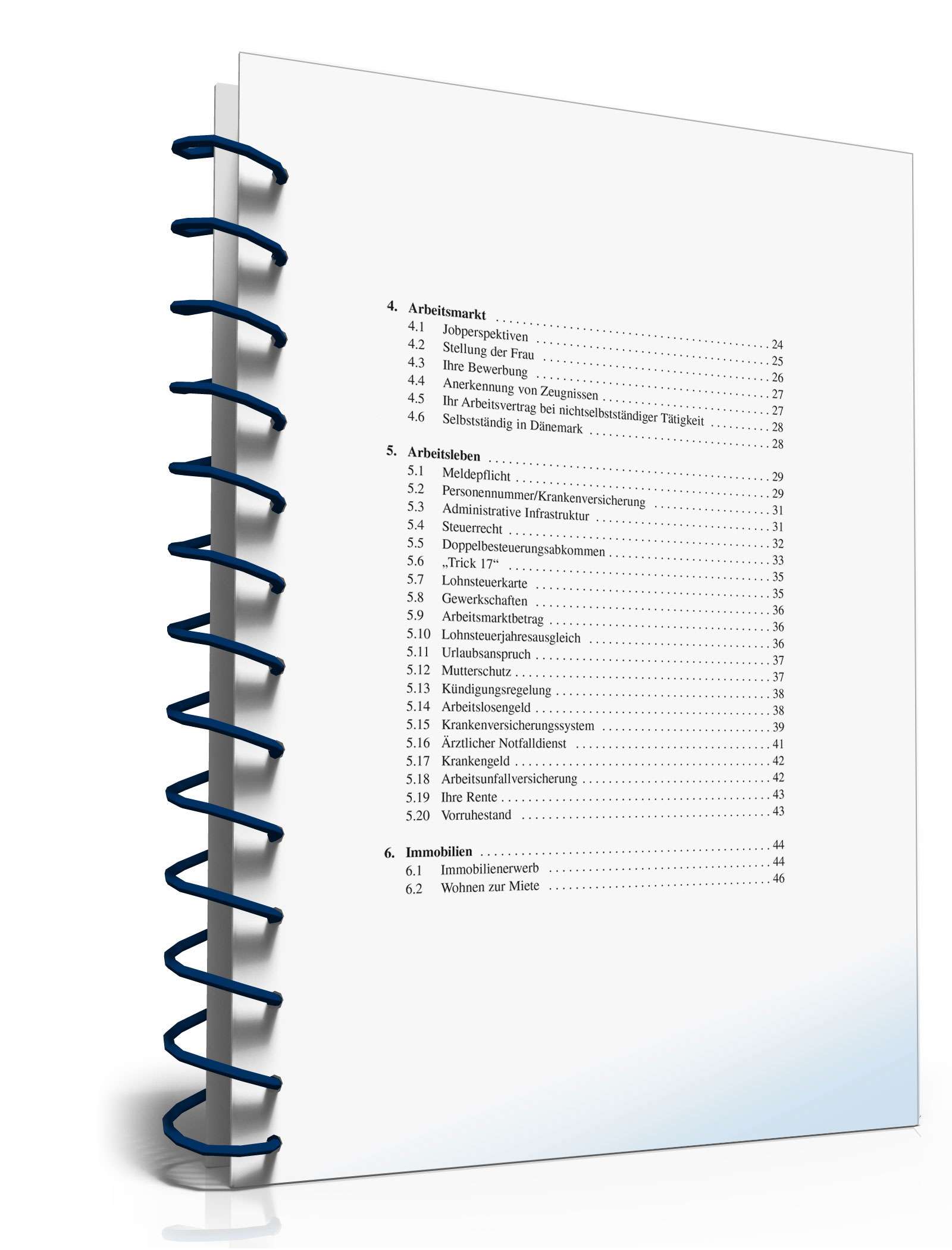 Leben und arbeiten in Dänemark PDF. Seite: 4