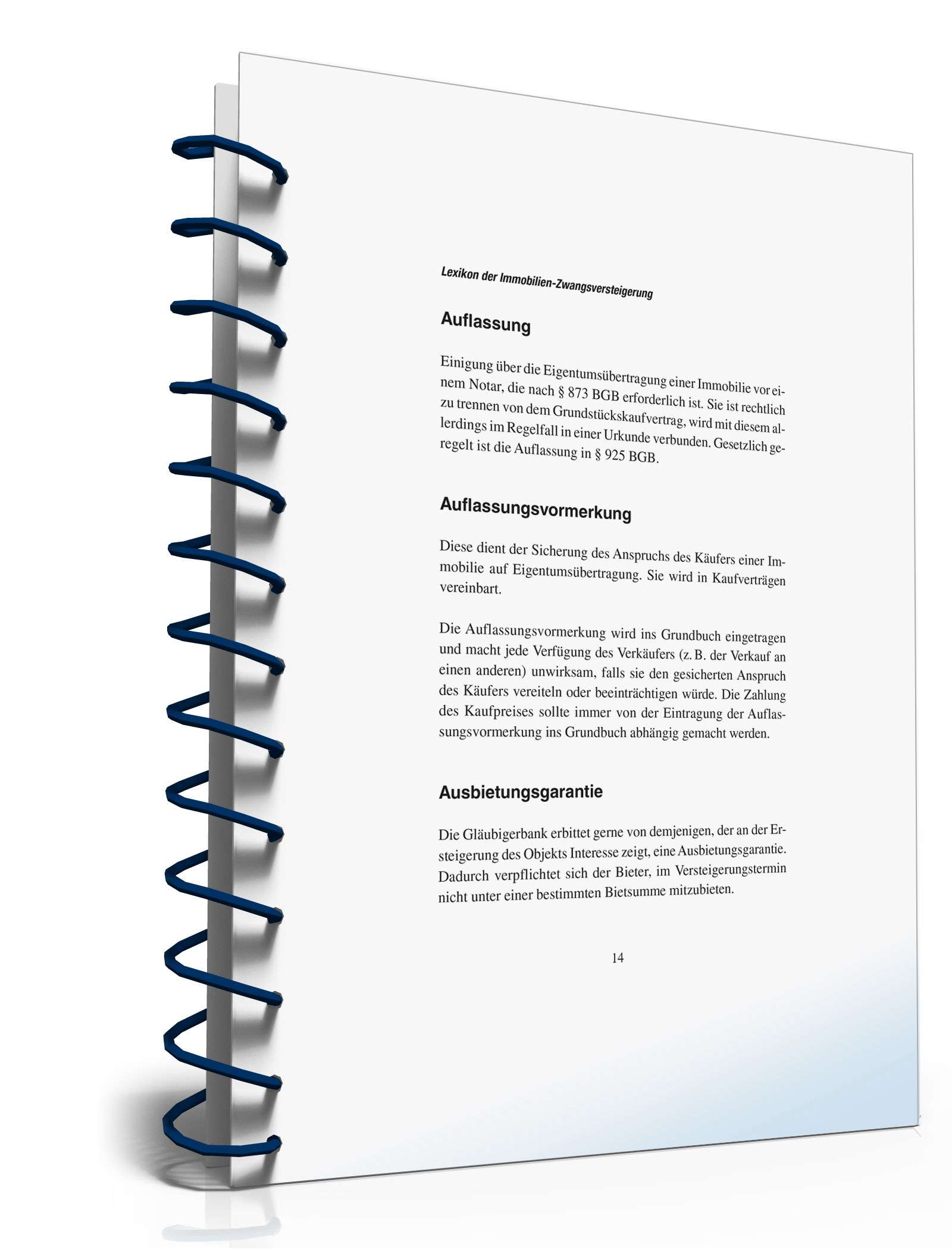 Zwangsversteigerung einer Immobilie PDF. Seite: 12