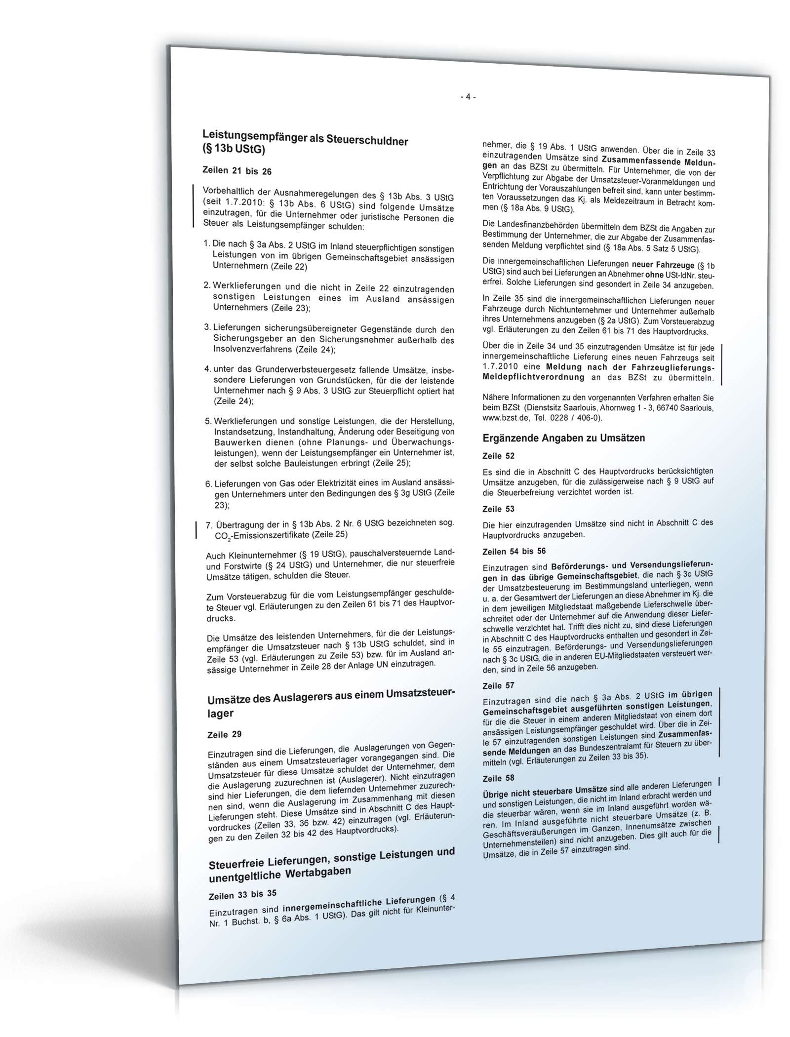 Umsatzsteuererklärung 2010 PDF. Seite: 11