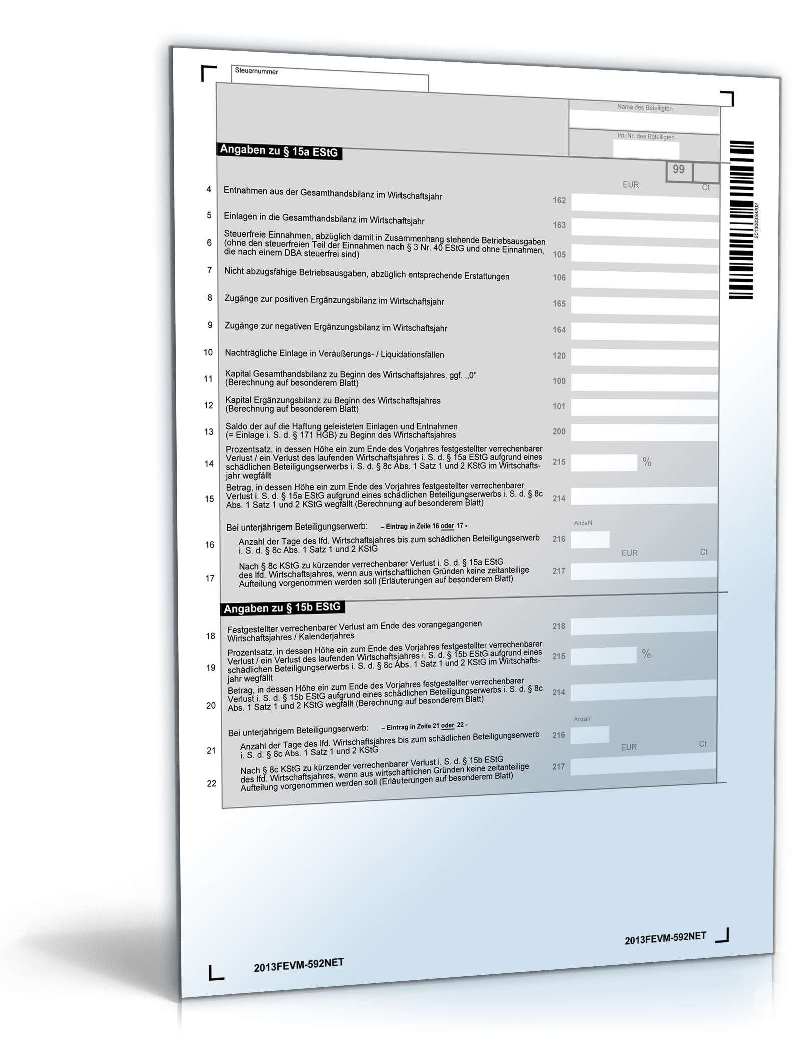 Anlage FE-VM 2013 PDF. Seite: 2