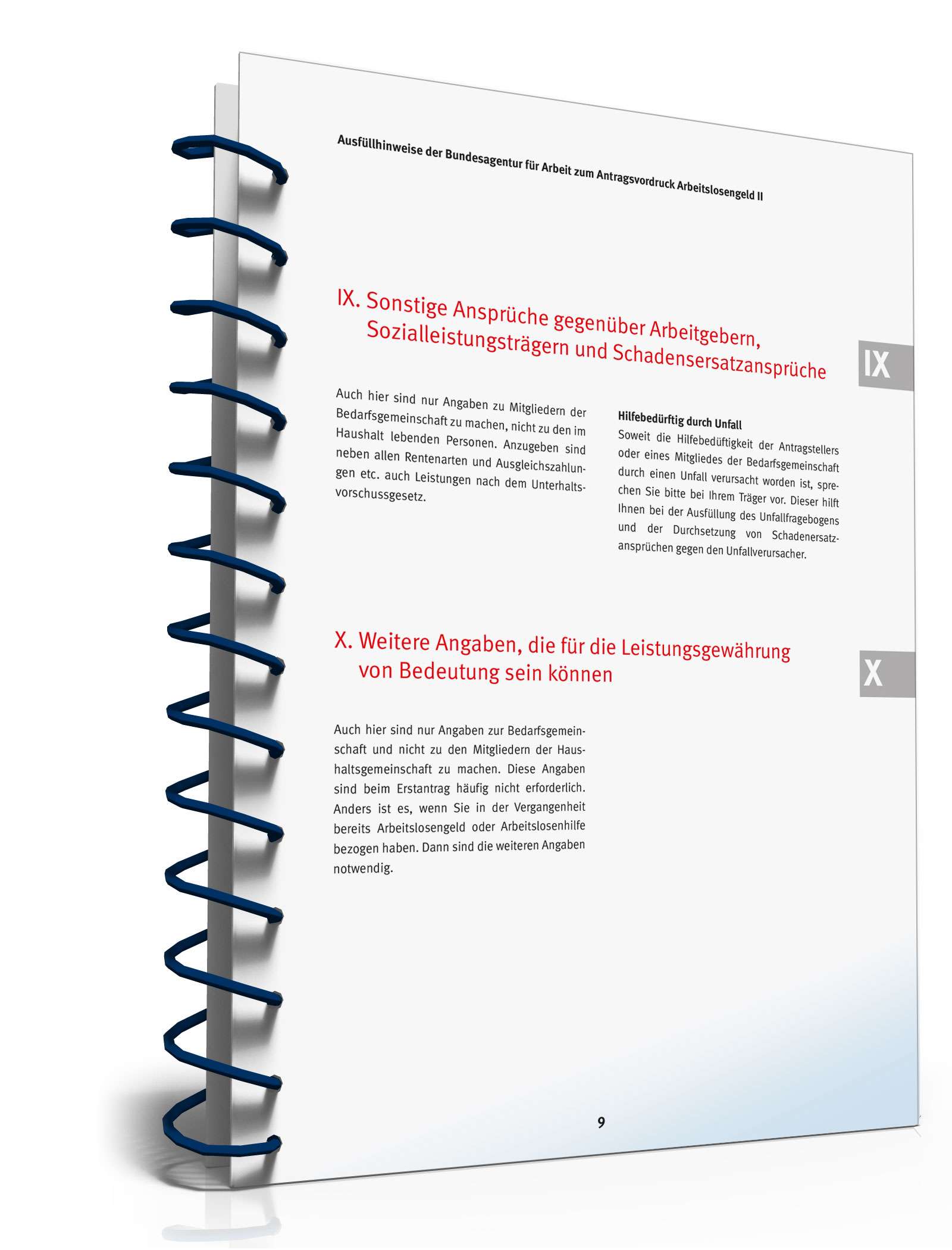 Ausfüllhinweise Antrag Bürgergeld PDF. Seite: 9