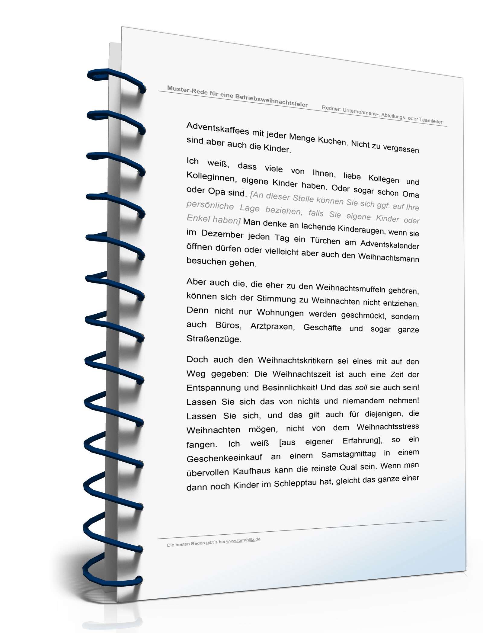 Das Weihnachtsfeier-Paket Excel. Seite: 11