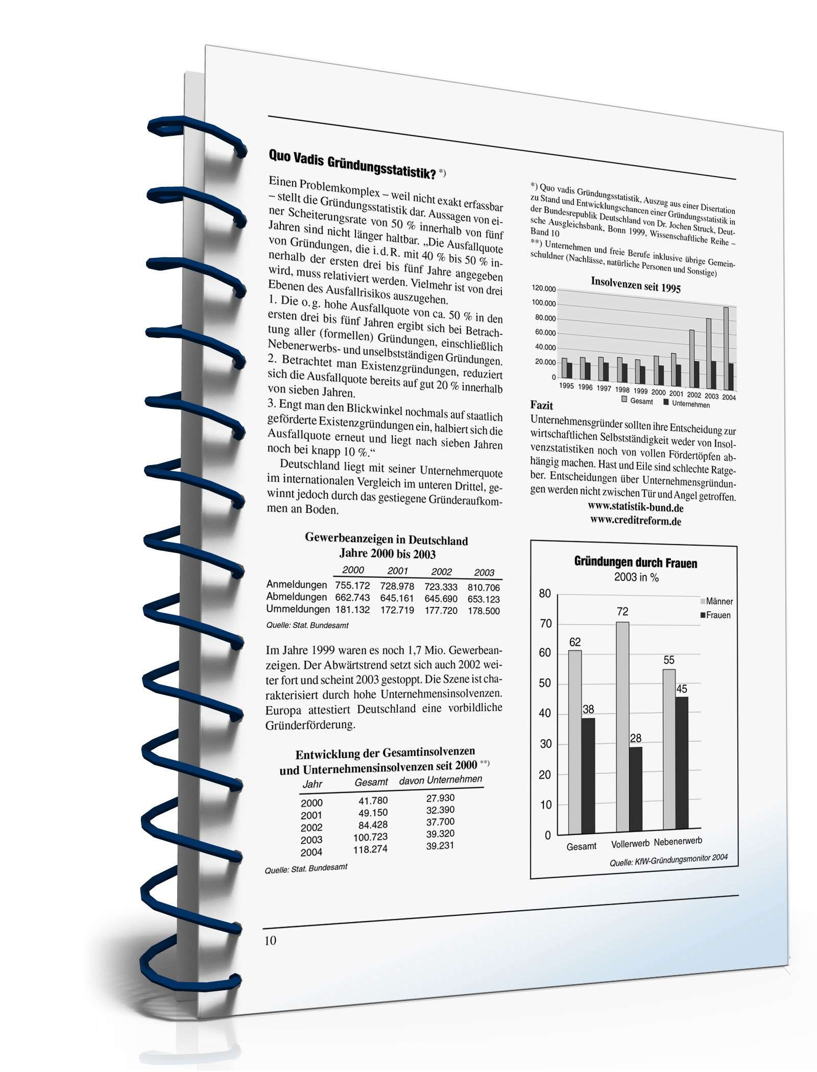 Businessplan erstellen PDF. Seite: 9