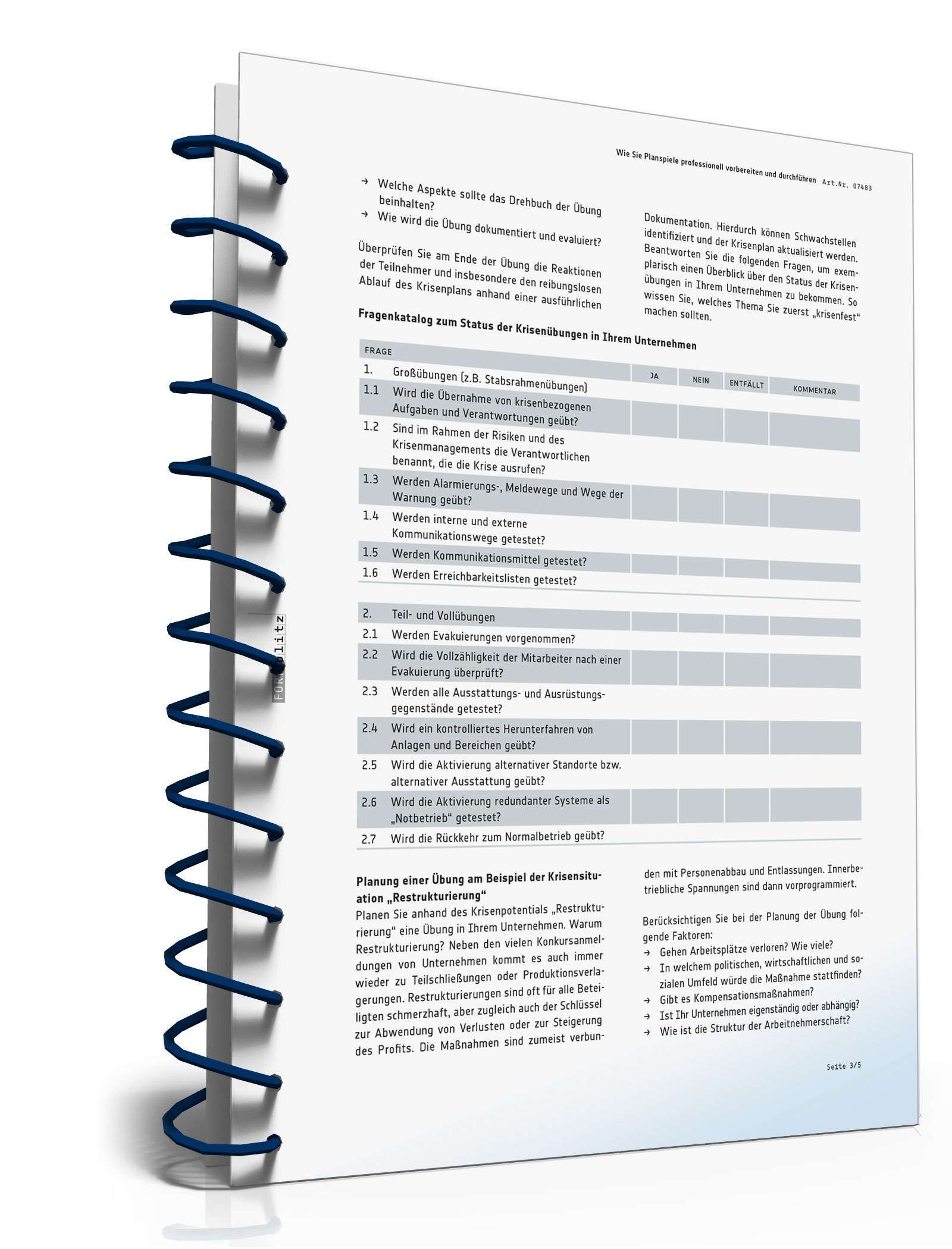 Ratgeber Planspiel PDF. Seite: 4