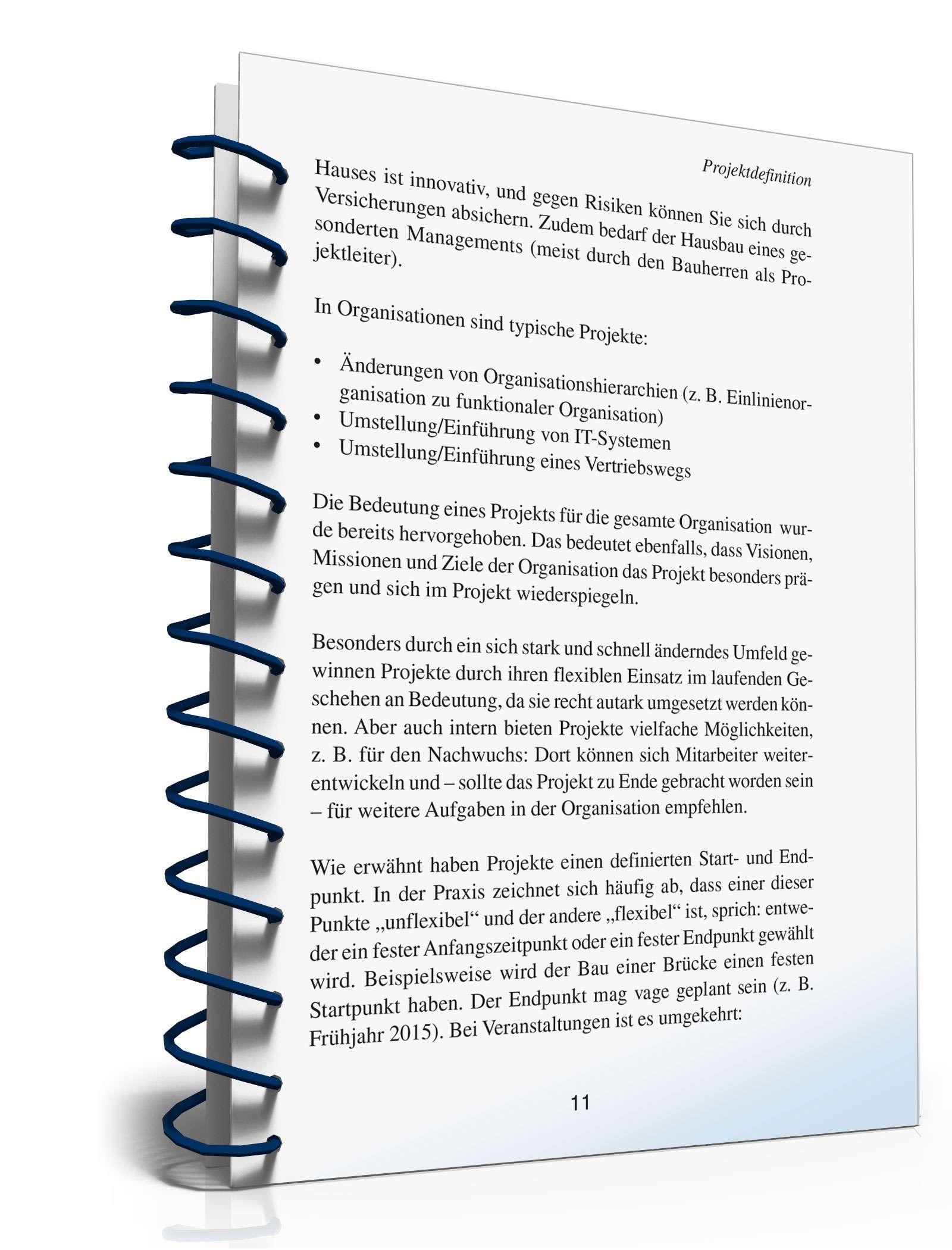 Projektmanagement in der Praxis PDF. Seite: 10
