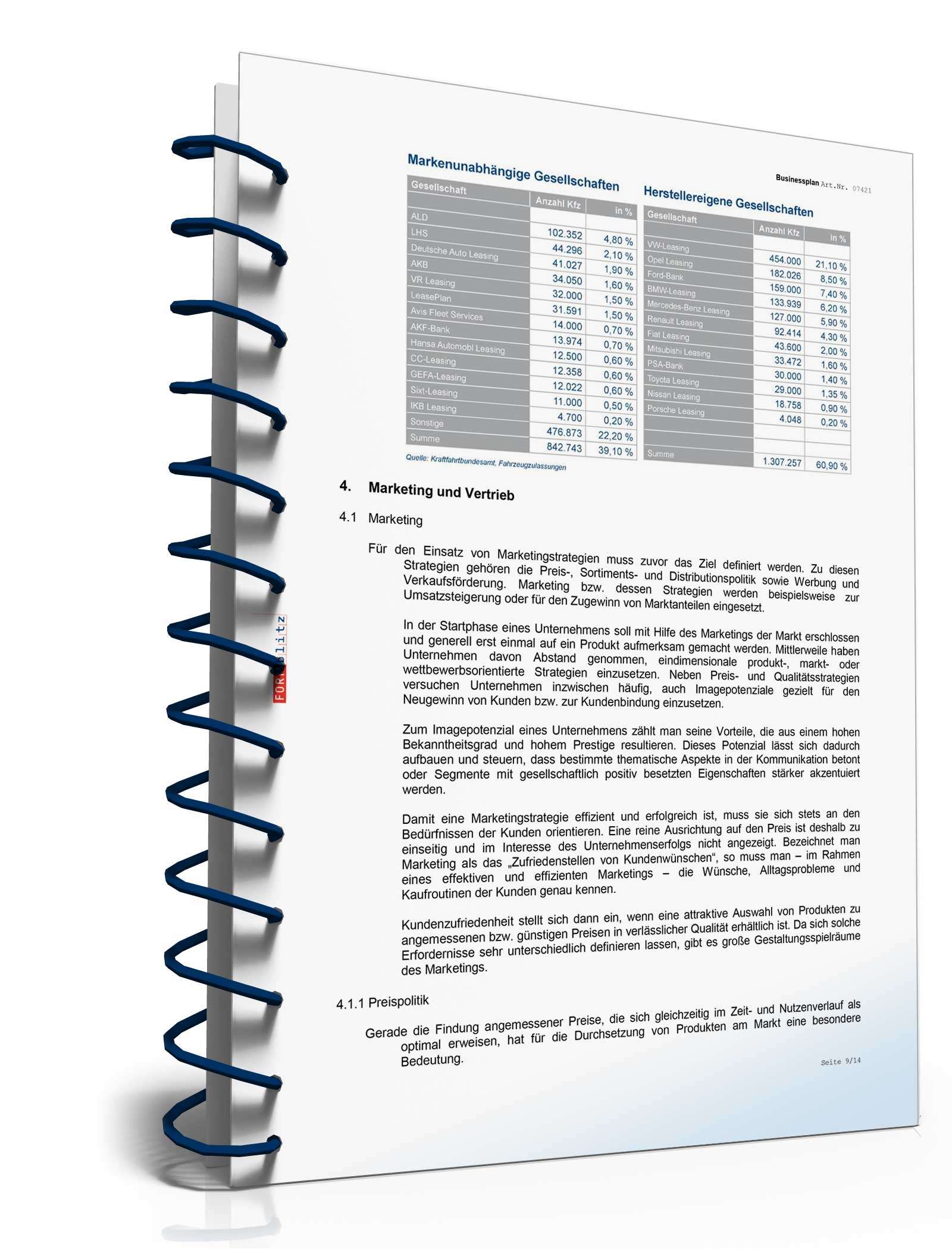 Businessplan für ein Leasingunternehmen Excel. Seite: 12