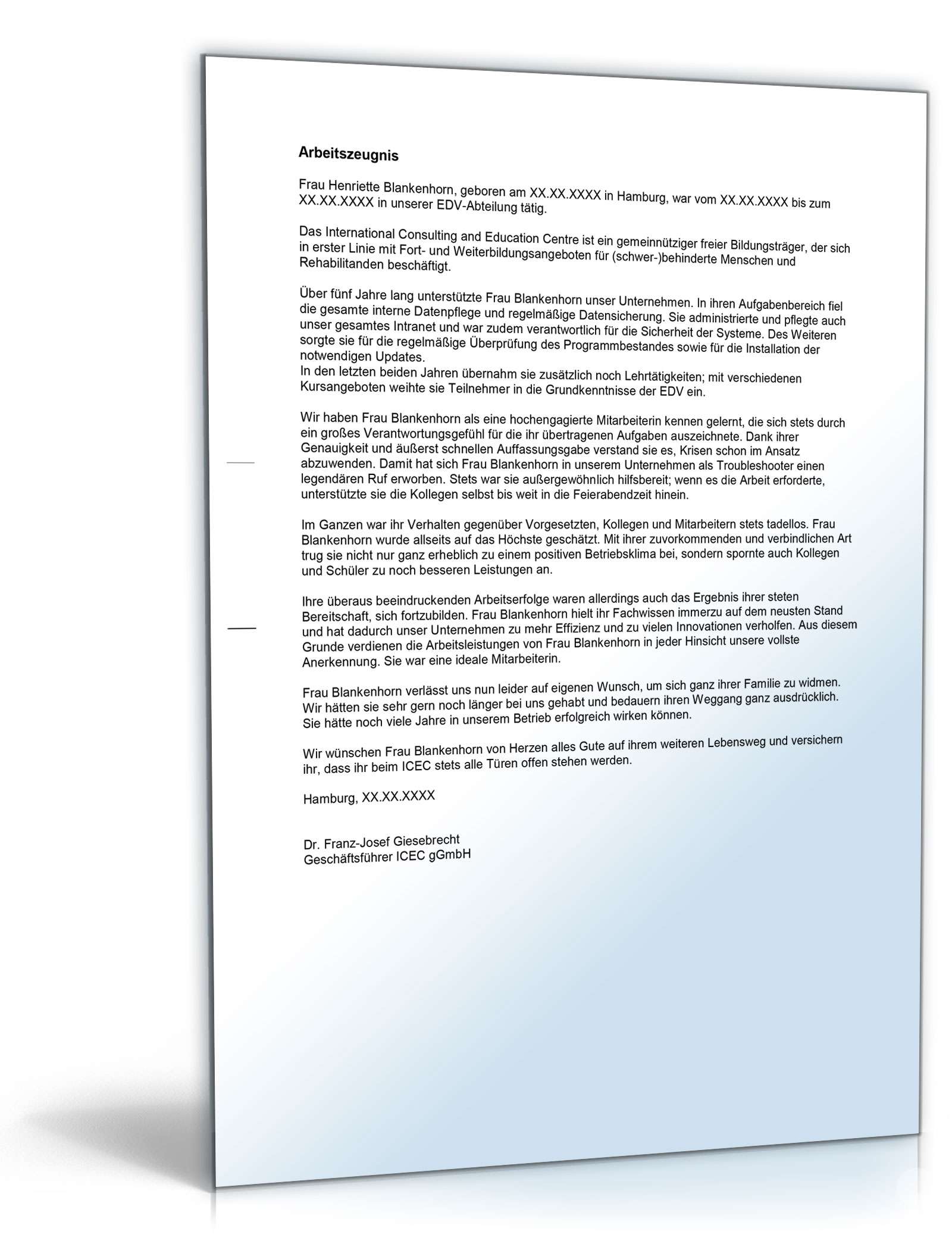 Arbeitszeugnis EDV-Fachkraft Excel. Seite: 3