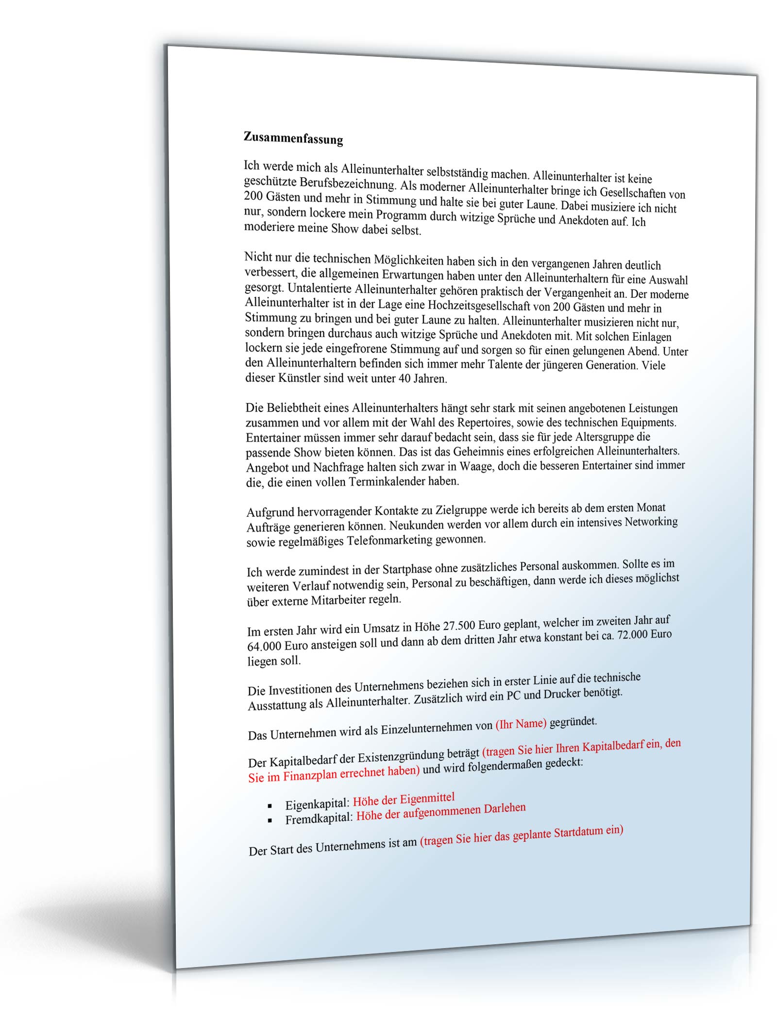 Businessplan Alleinunterhalter Excel. Seite: 3