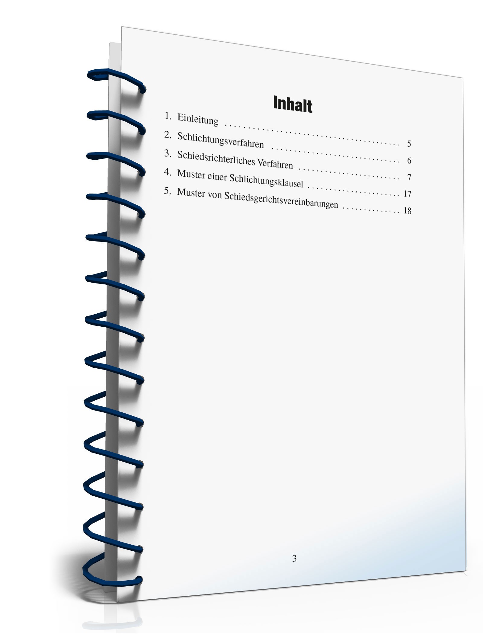 Wie Streitigkeiten außergerichtlich geschlichtet werden PDF. Seite: 3