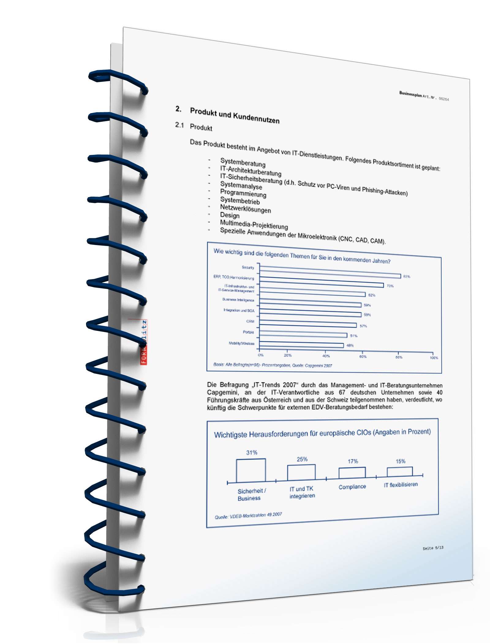 Businessplan IT-Berater Excel. Seite: 8