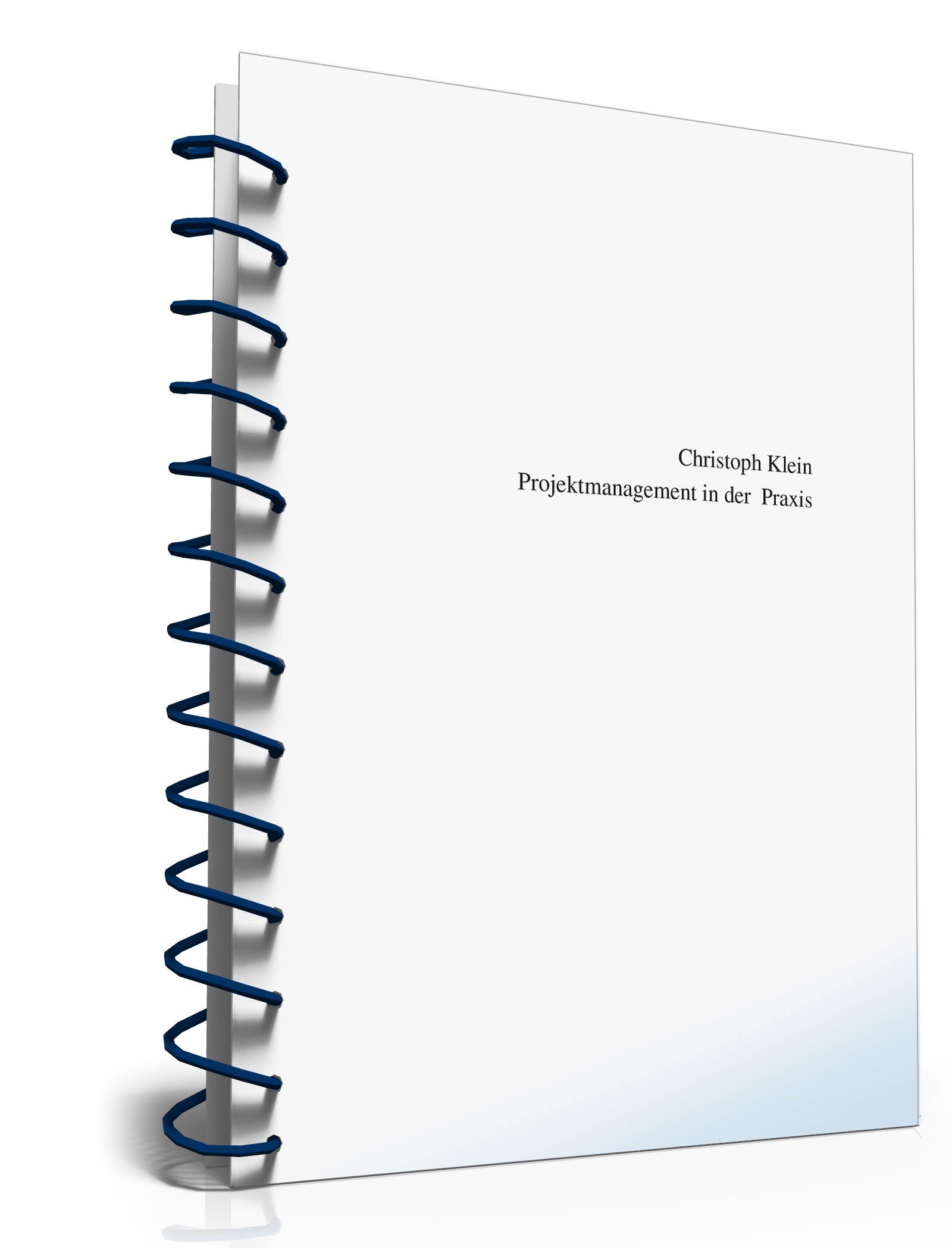 Projektmanagement in der Praxis PDF. Seite: 2