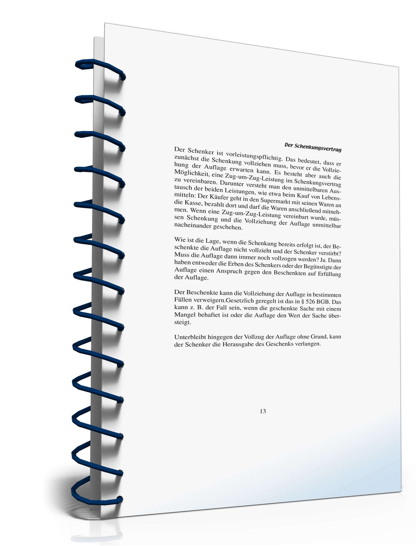 Ratgeber Schenkungsvertrag PDF. Seite: 13