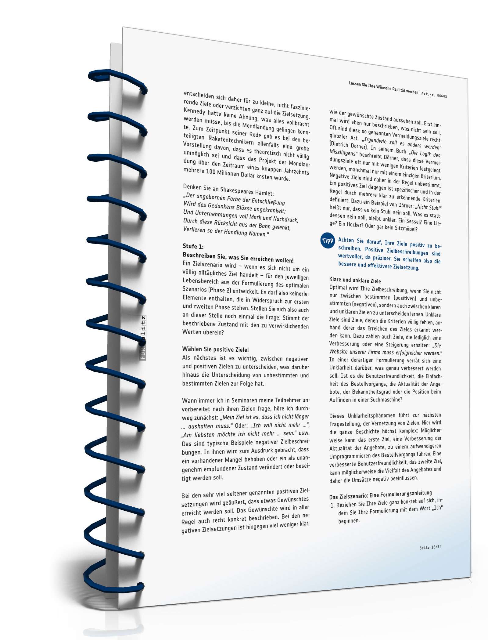 Ratgeber Verwirklichung Ziele PDF. Seite: 13