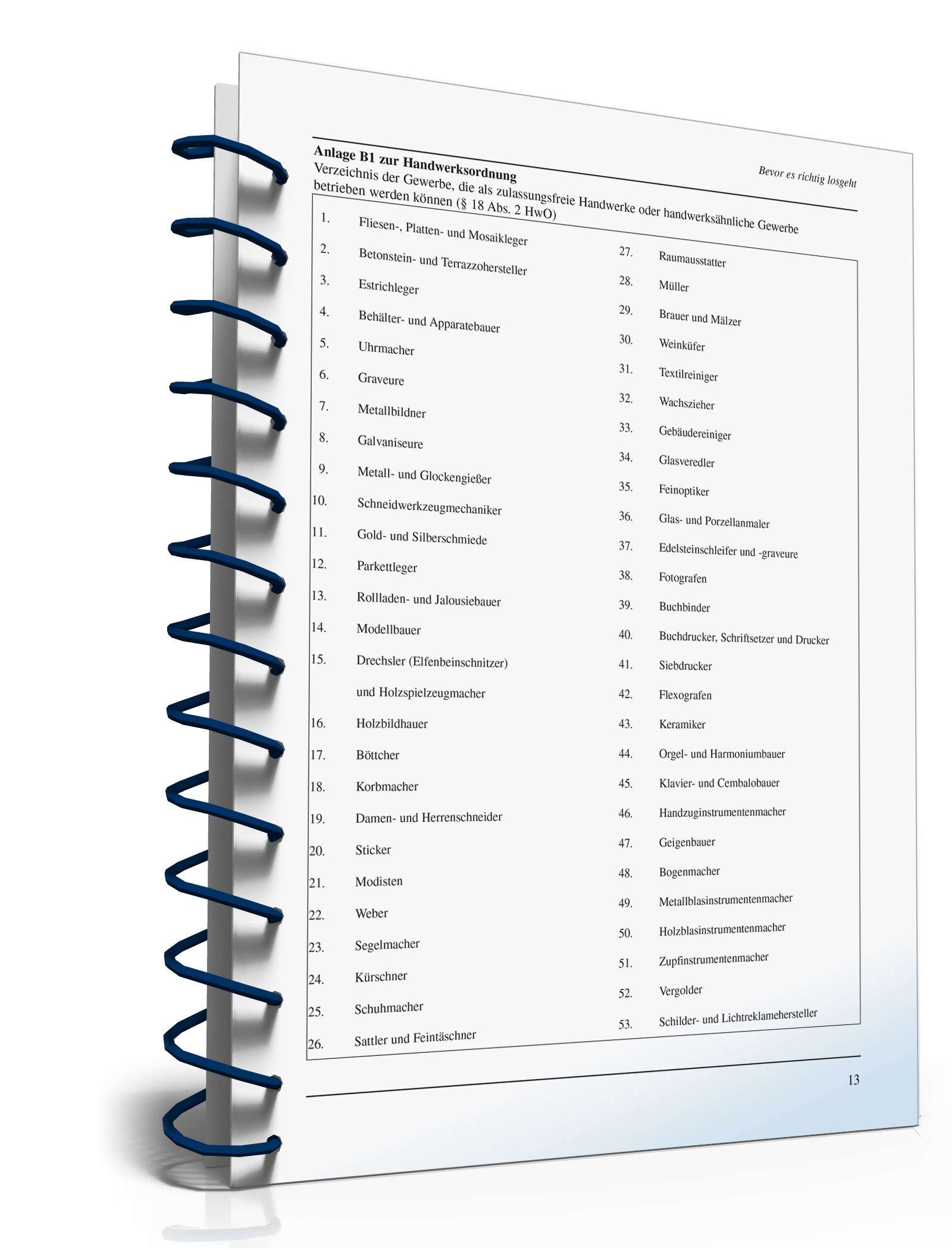 Ratgeber Unternehmensgründung PDF. Seite: 13
