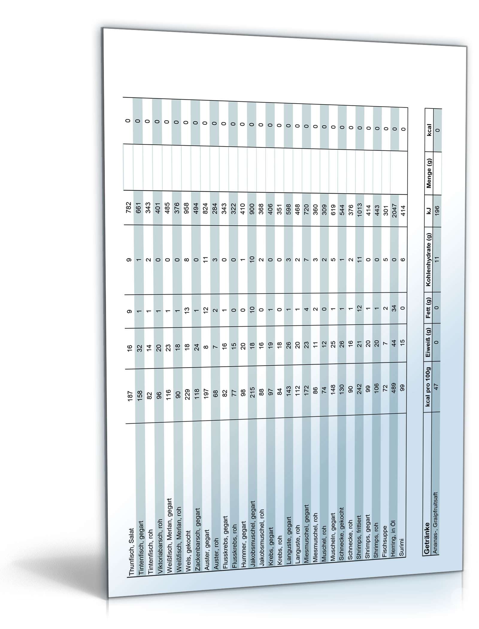 Diät-Rechner Excel. Seite: 10
