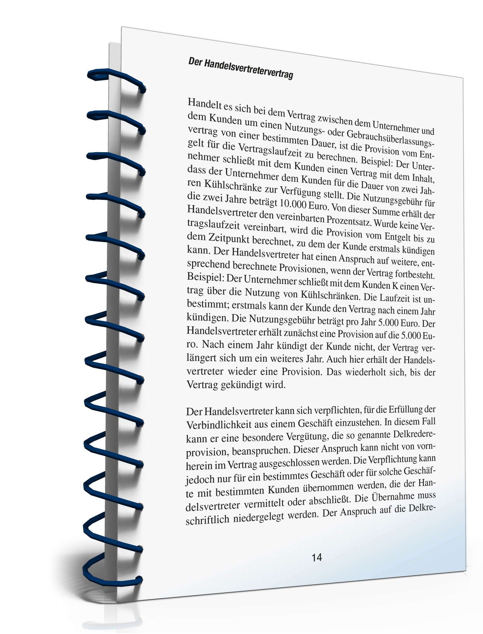 Handelsvertretervertrag abschließen PDF. Seite: 13