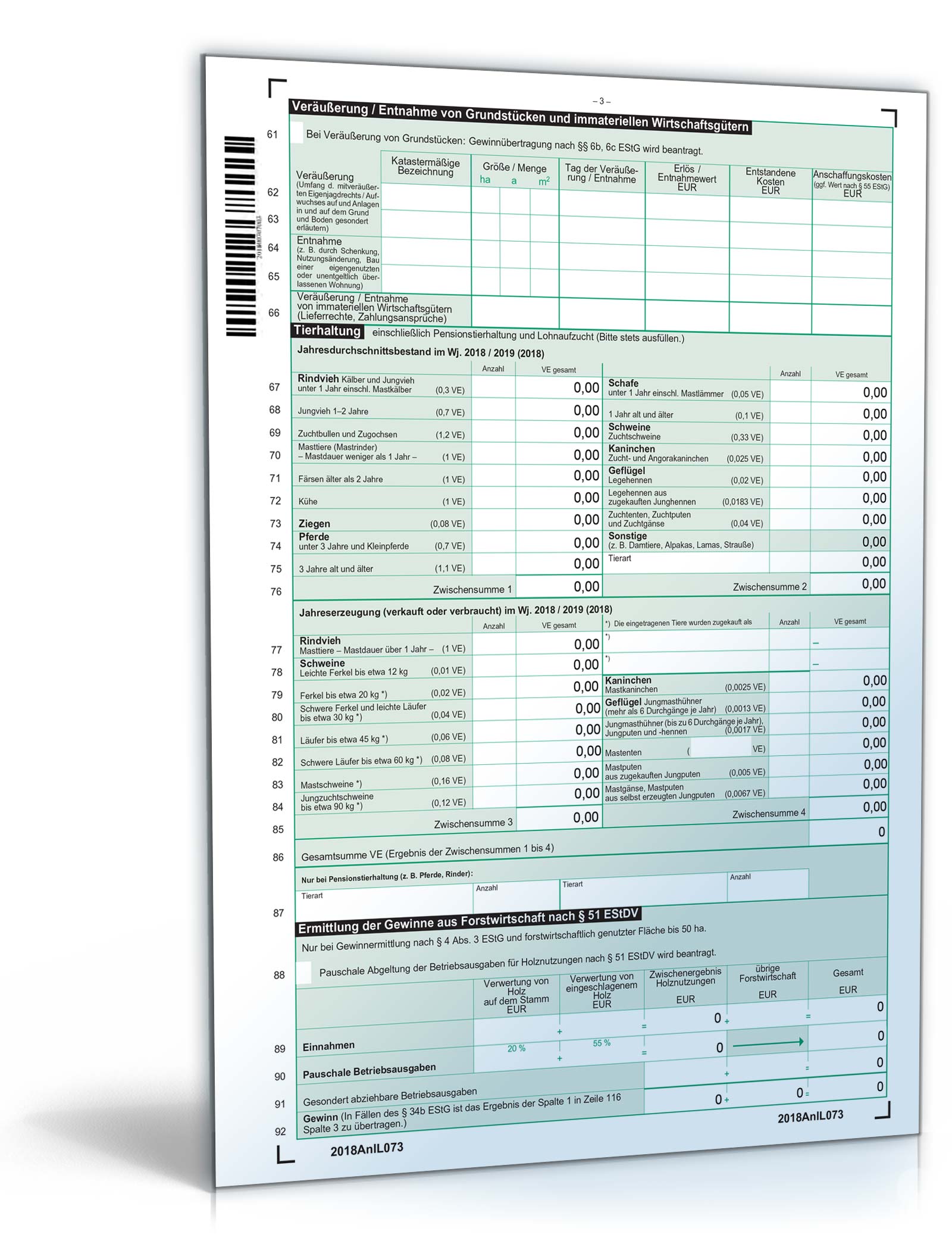 Anlage L 2018 PDF. Seite: 3
