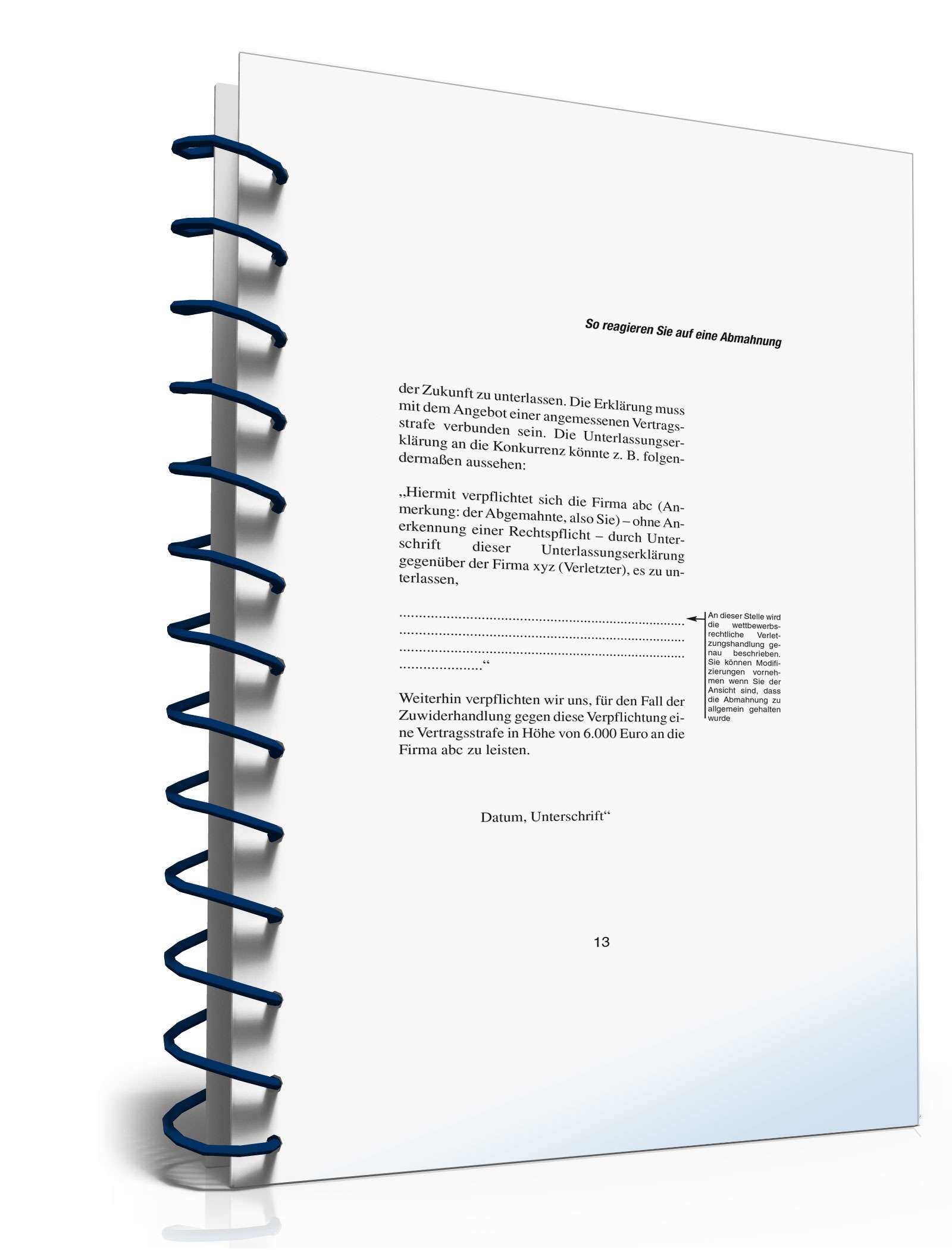 Ratgeber Reaktion Abmahnung PDF. Seite: 13