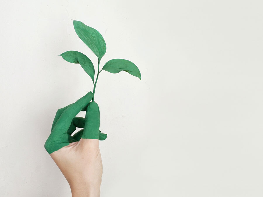 Unternehmerische Nachhaltigkeit ist heutzutage enorm wichtig und kann mit folgenden sechs Tipps verbessert werden