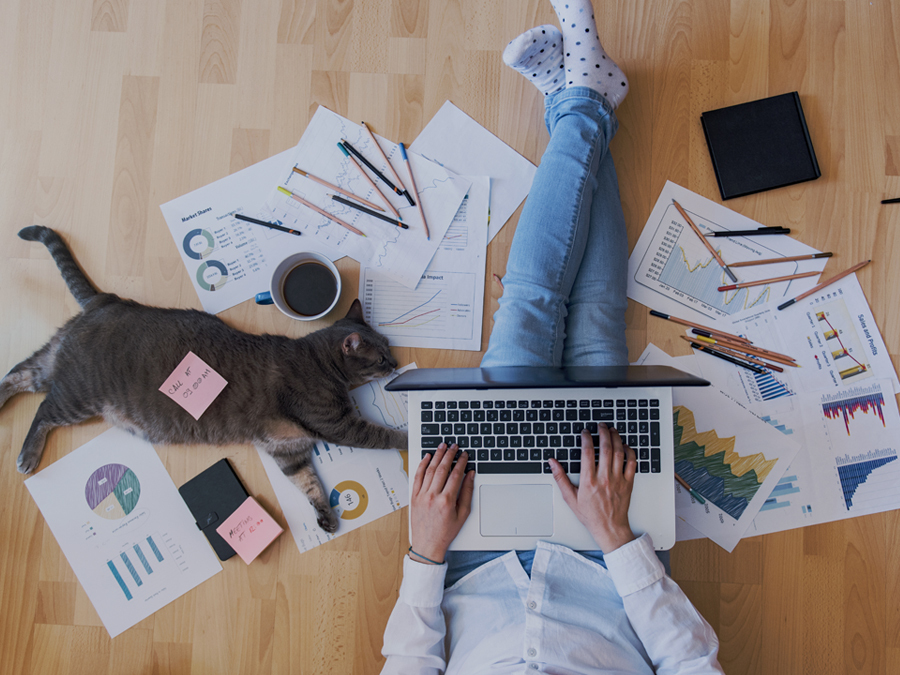 Nachdem eine Person ihren Antrag auf Homeoffice eingereicht hat, Arbeit diese nun von zu Hause neben ihrer Katze