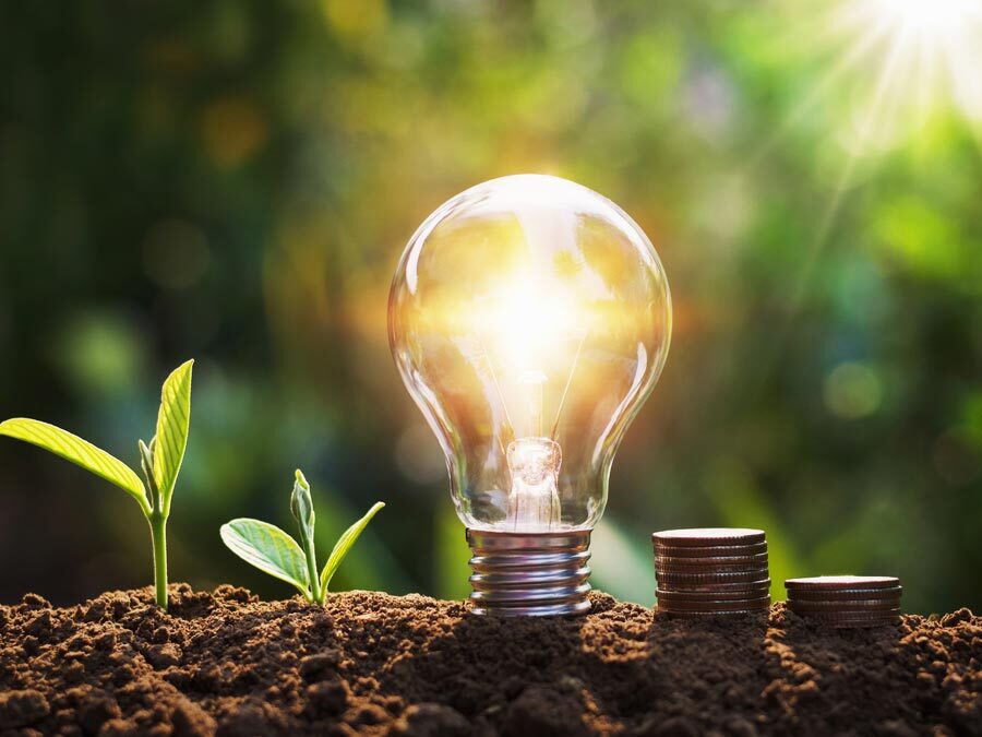 Eine Glühbirne in der Natur versinnbildlicht das Thema Energiesparen.