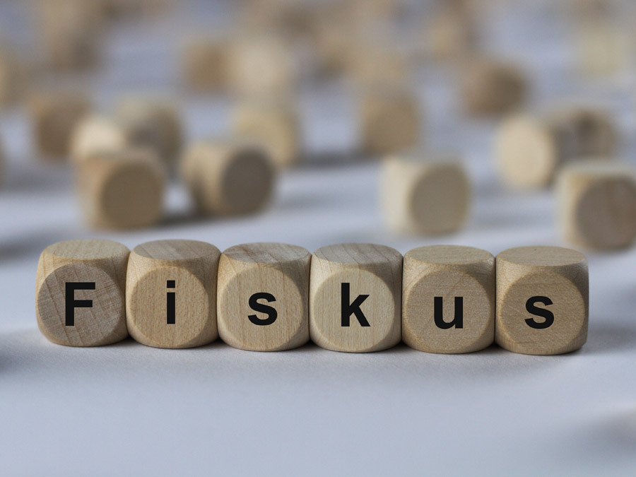 Buchstabenwürfel mit dem Wort "Fiskus"